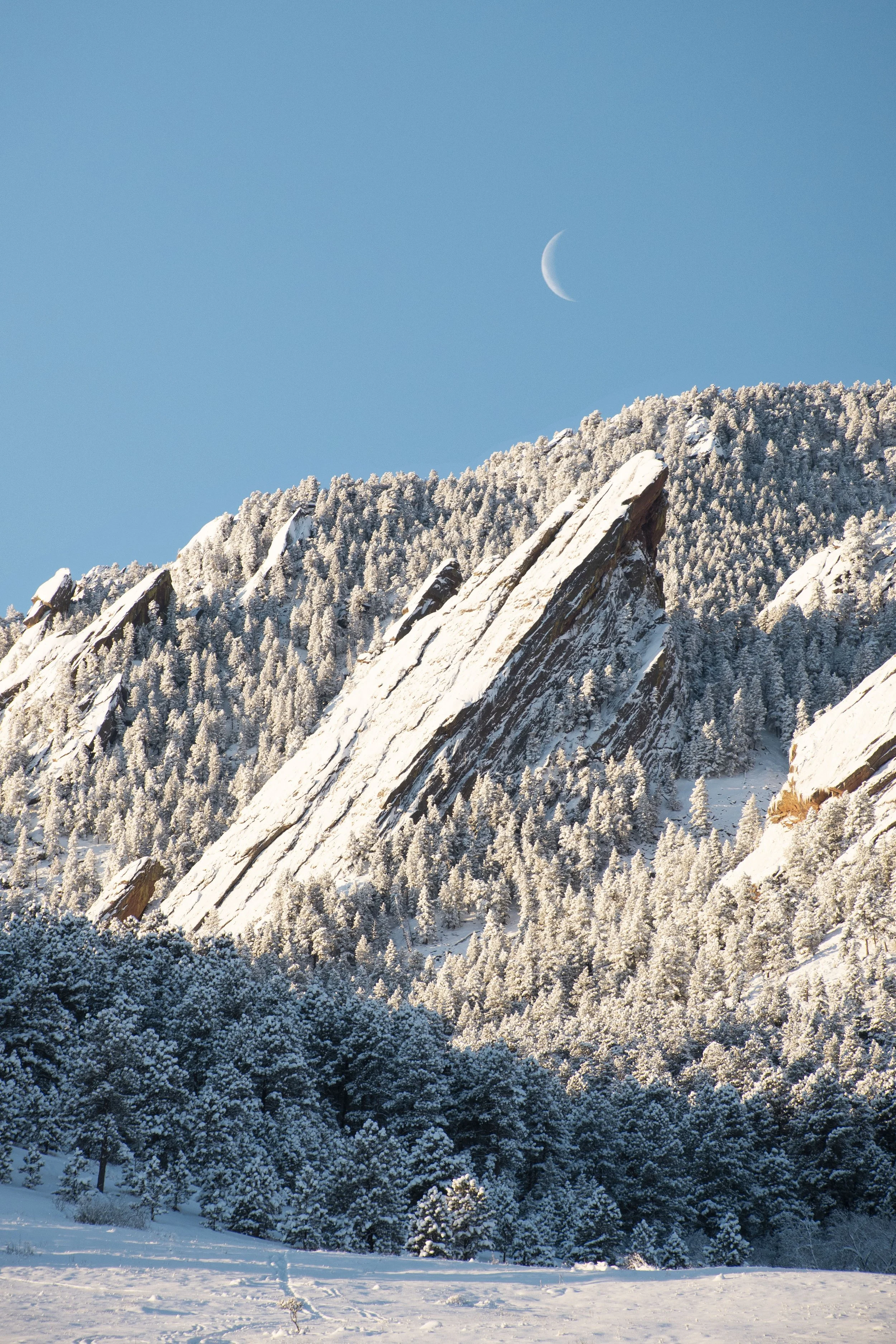 Flagstaff cresent moon 2023.jpg