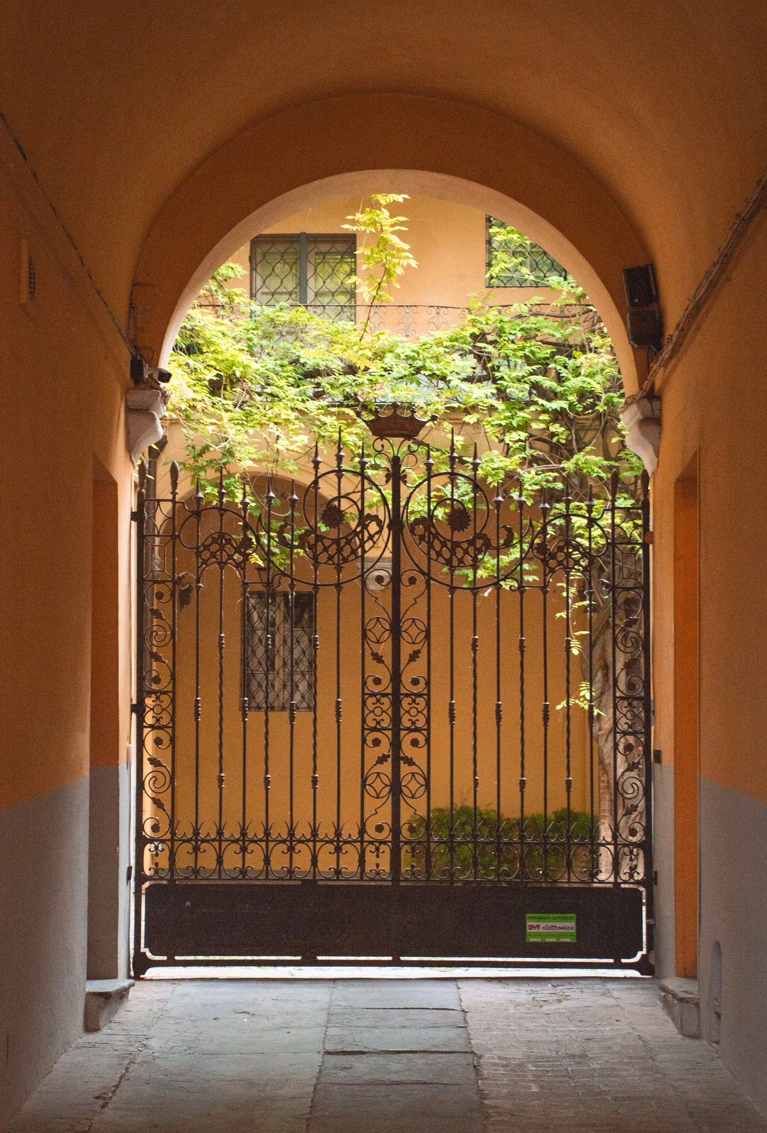 DSC_4947.jpg