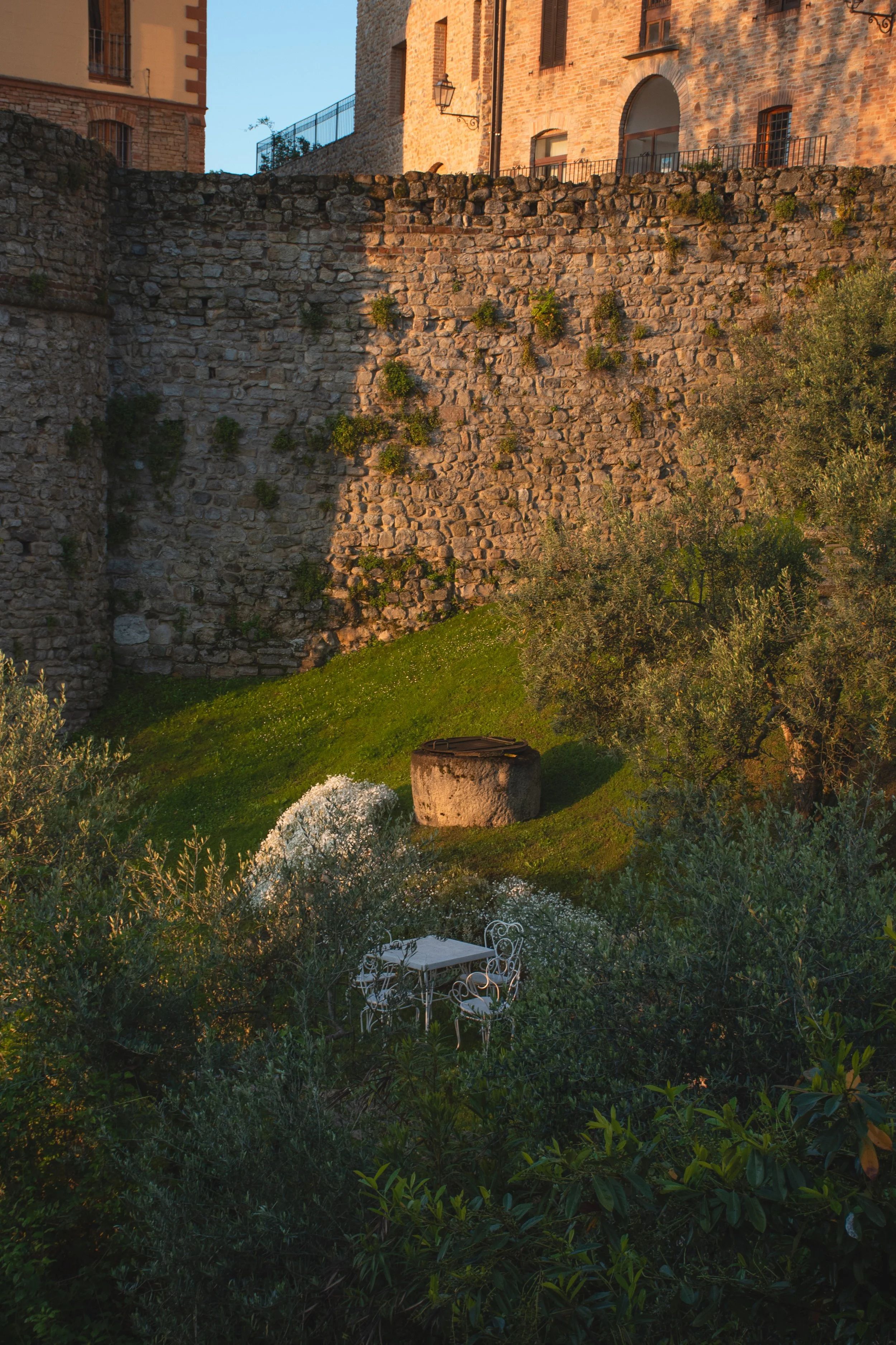 DSC_5376.jpg