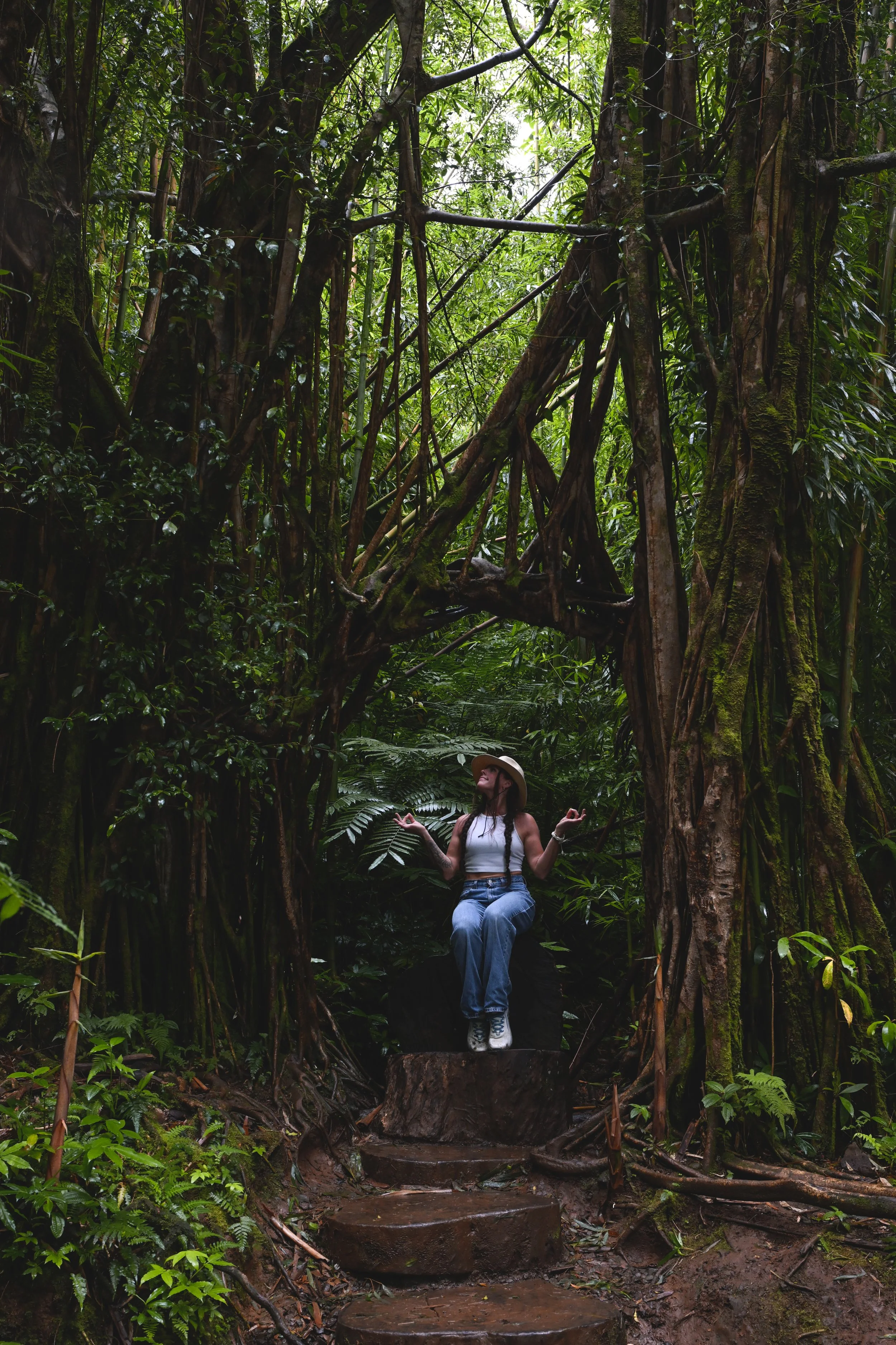hawaii_forest 2025.jpg