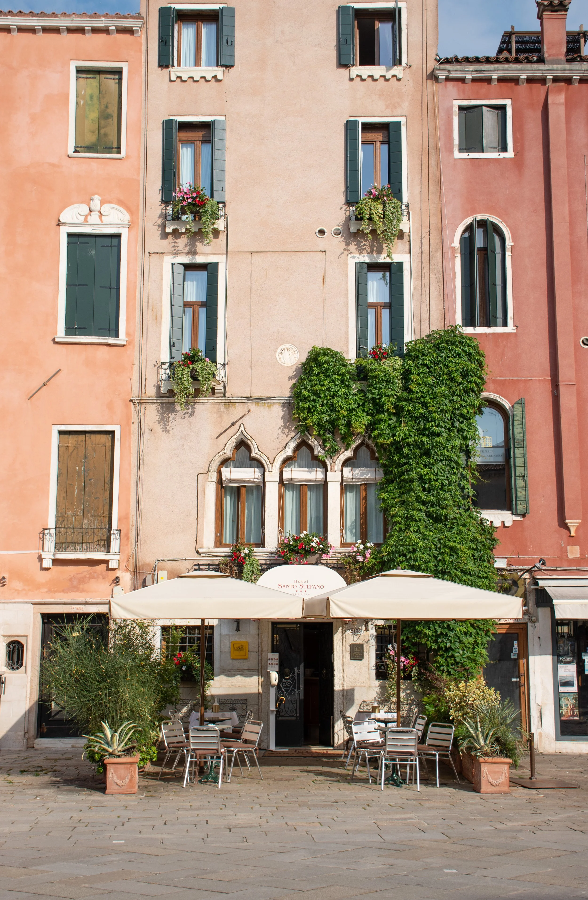 DSC_6146.jpg