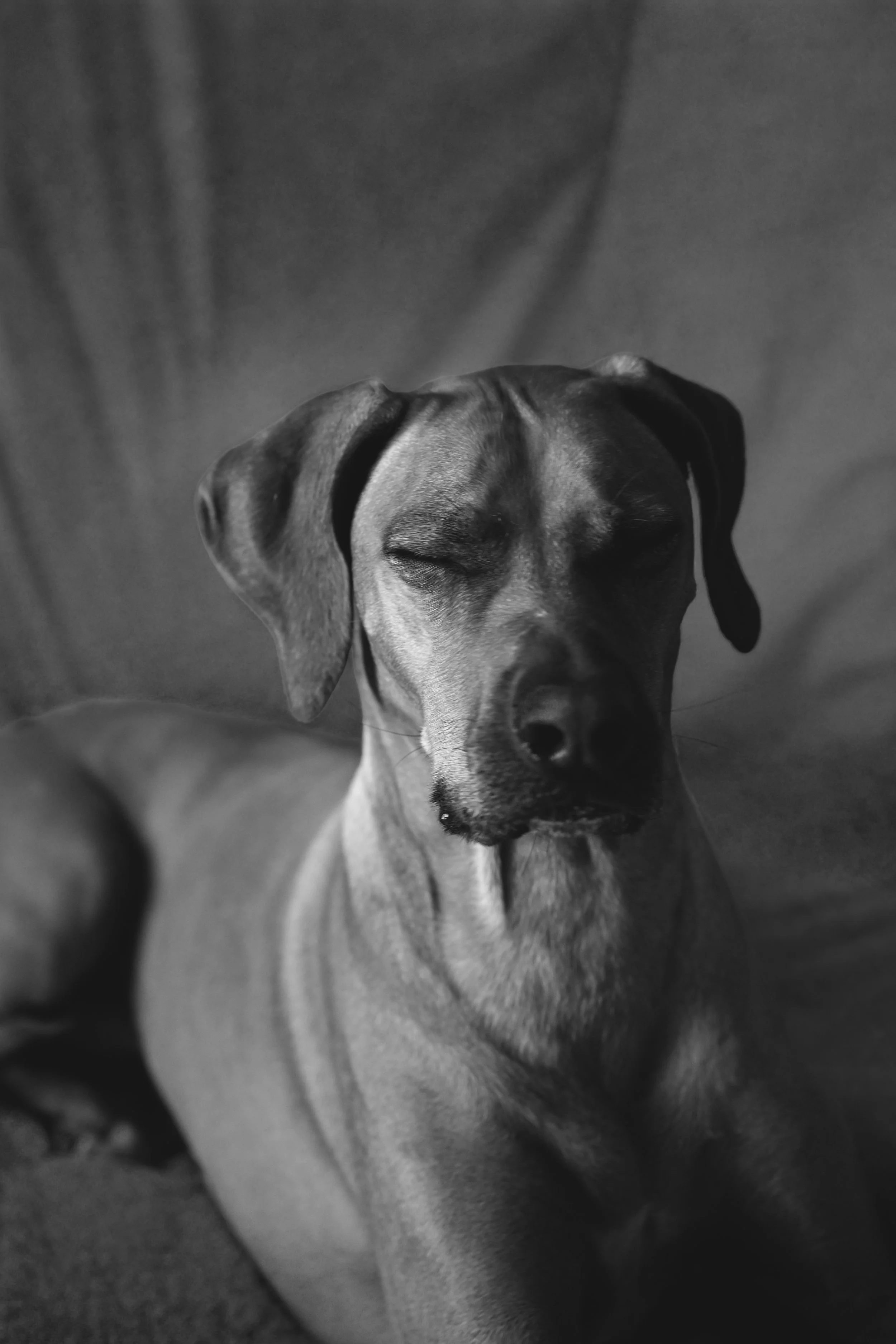 whiskey 3.jpg