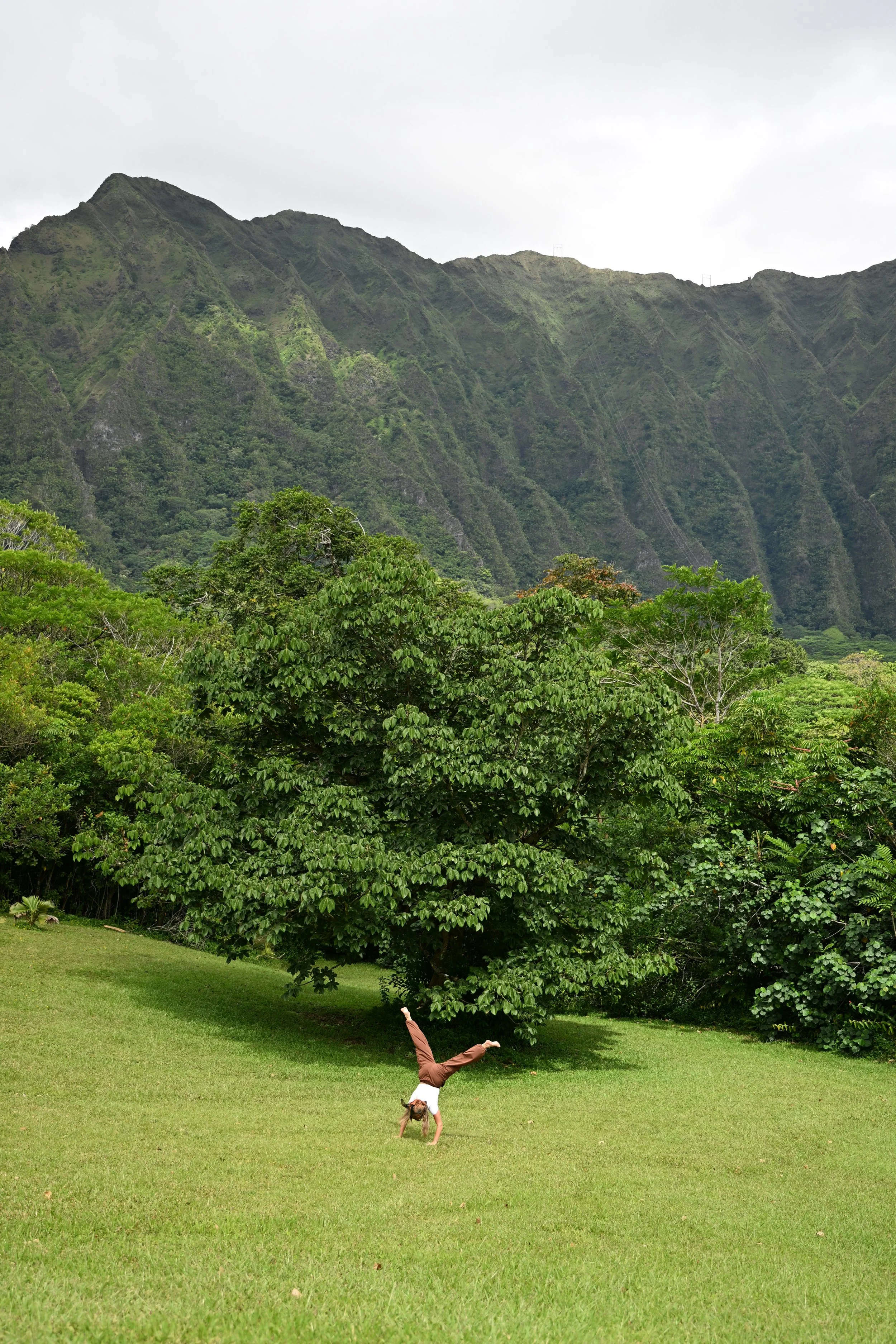 Hawaii Summer 2025_115.jpg