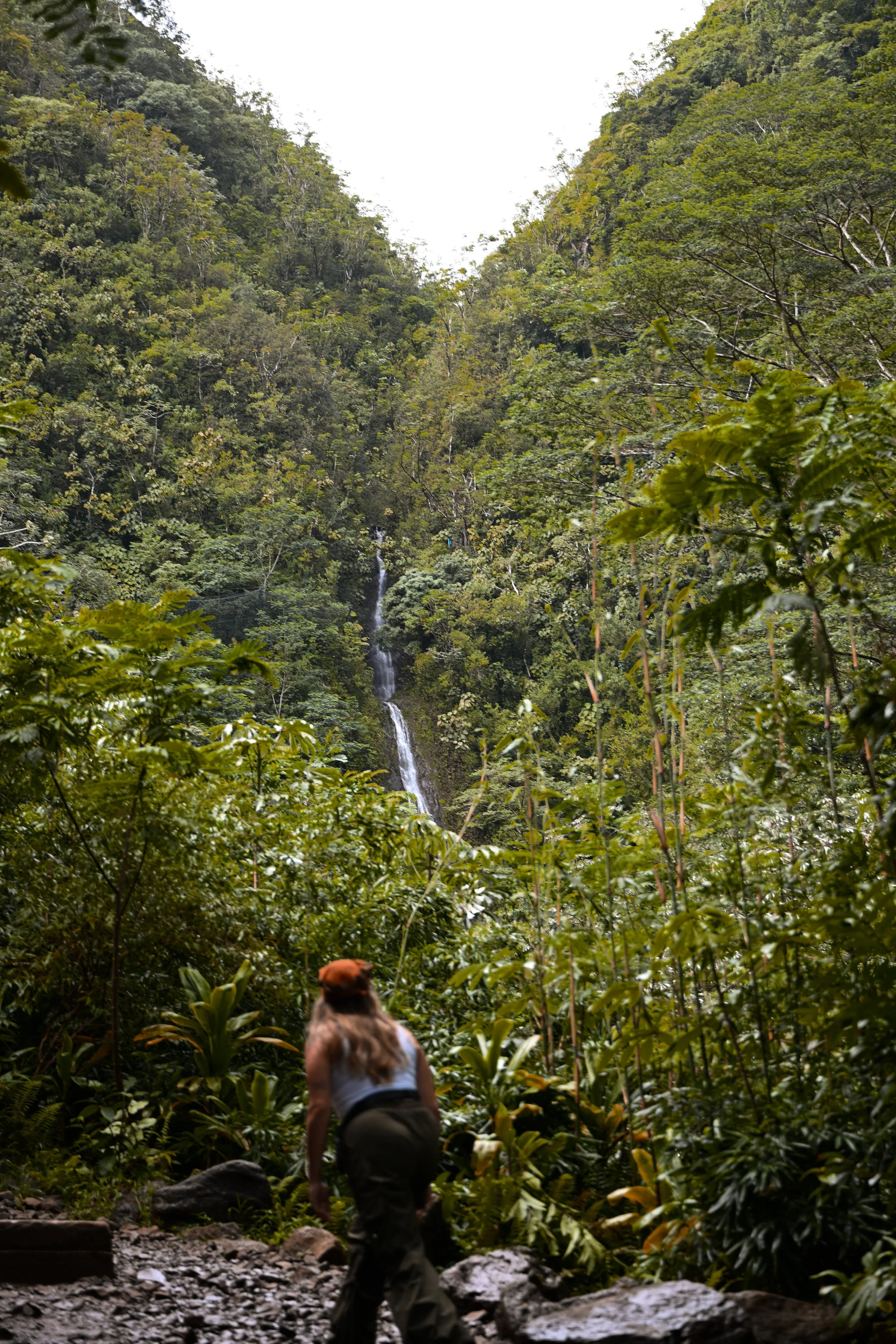 Hawaii Summer 2025_7.jpg