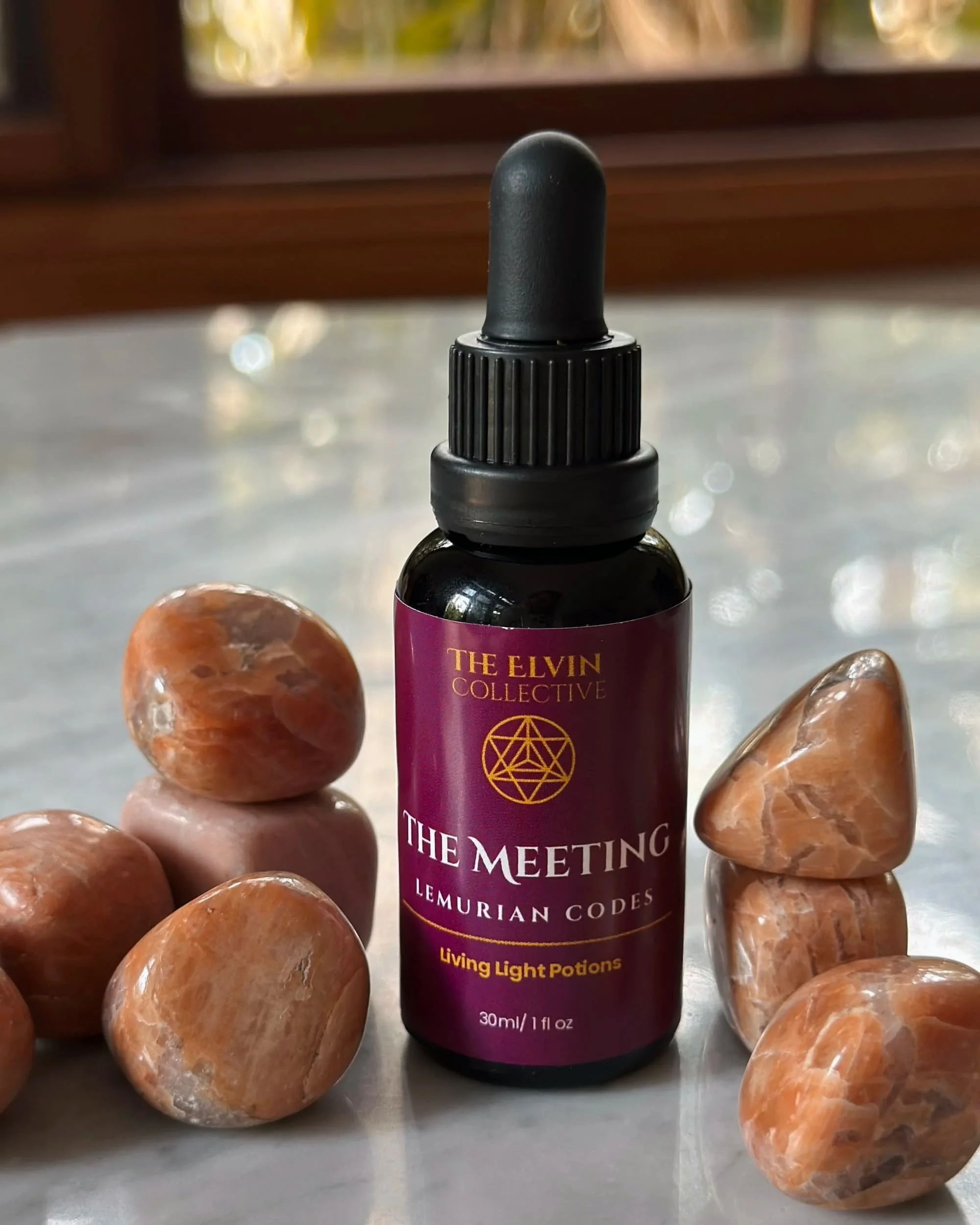 Lemurian Codes THE  MEETING