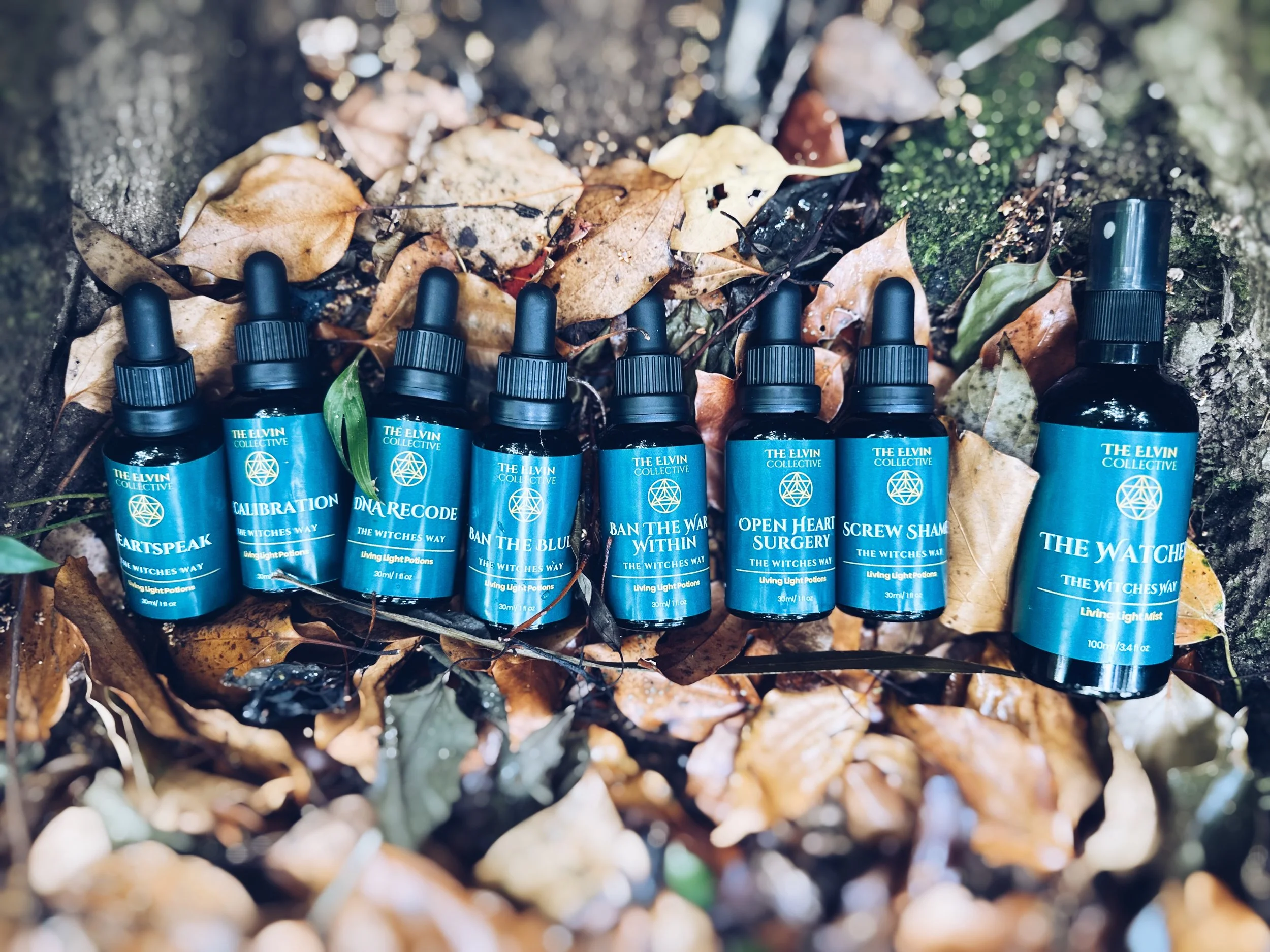 vibrational medicine