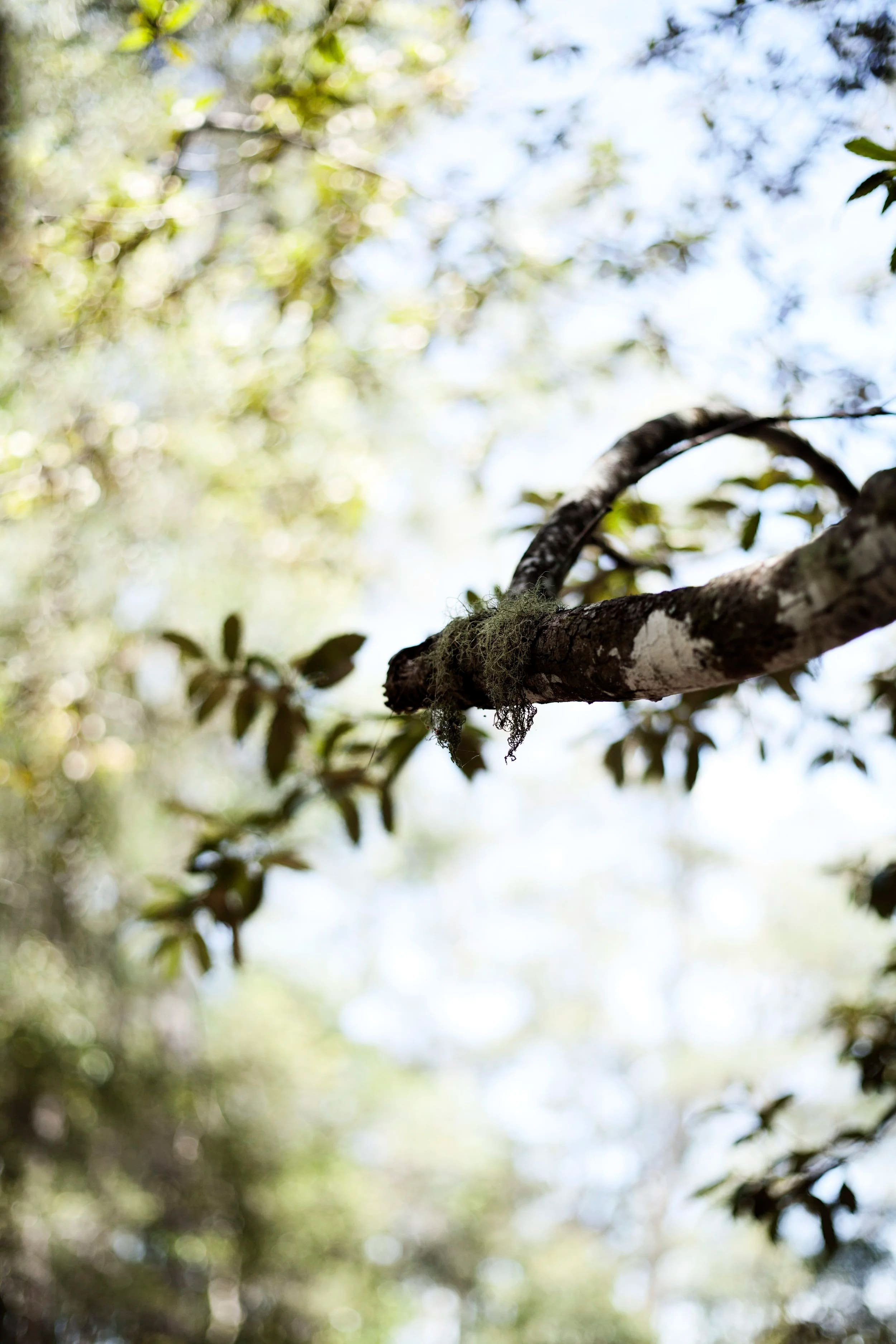 An Unexpected Journey