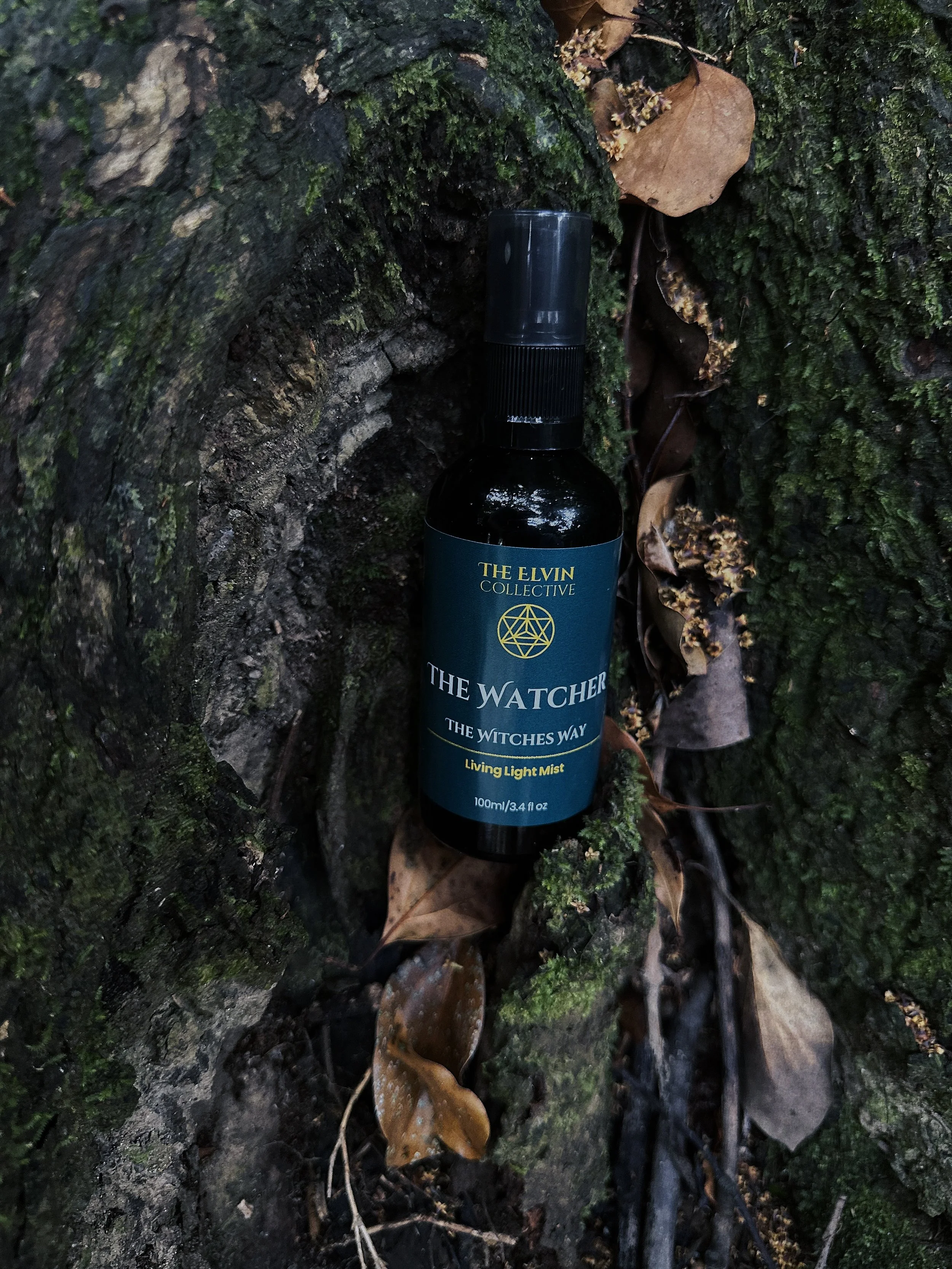 The Witches Way THE WATCHER MIST