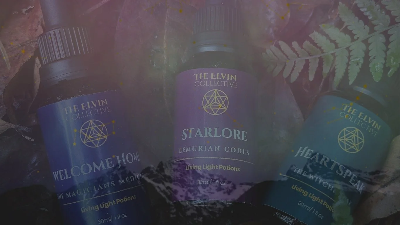 Three bottles of elixir labeled Welcome Home, Star Lore, and Heartspan on a rocky surface with fern leaves in the background.