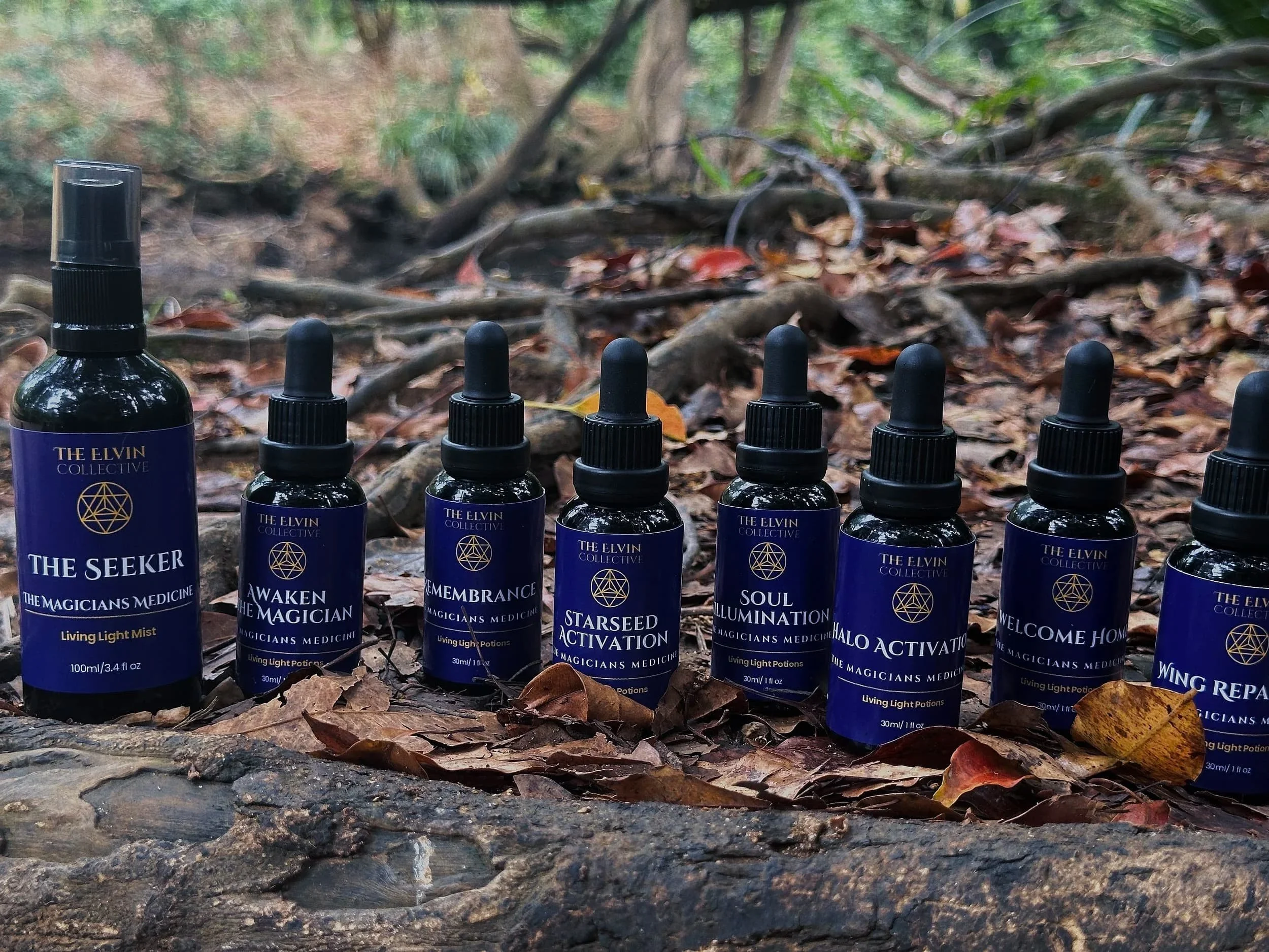 Herbal-Magical-Potion-arranged-along-a-log-in-a-forest