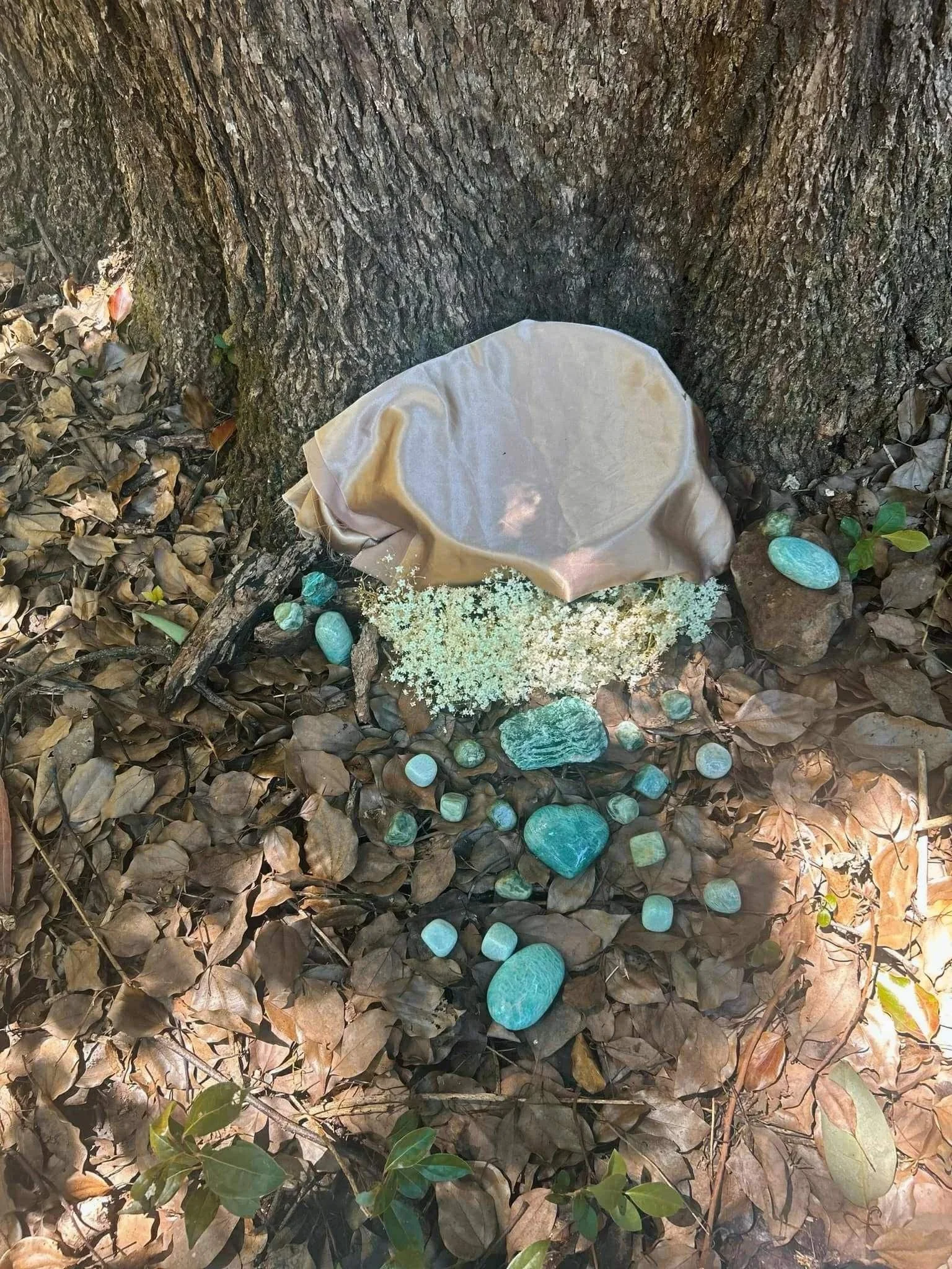 A collection of turquoise stones, white flowers, and a round fabric-covered item is placed at the base of a large tree trunk in a wooded area, surrounded by brown dry leaves.