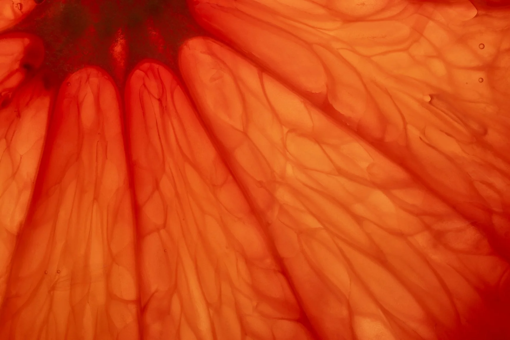 Close-up of orange bell pepper's inner flesh, showing its veins and seed cavity.
