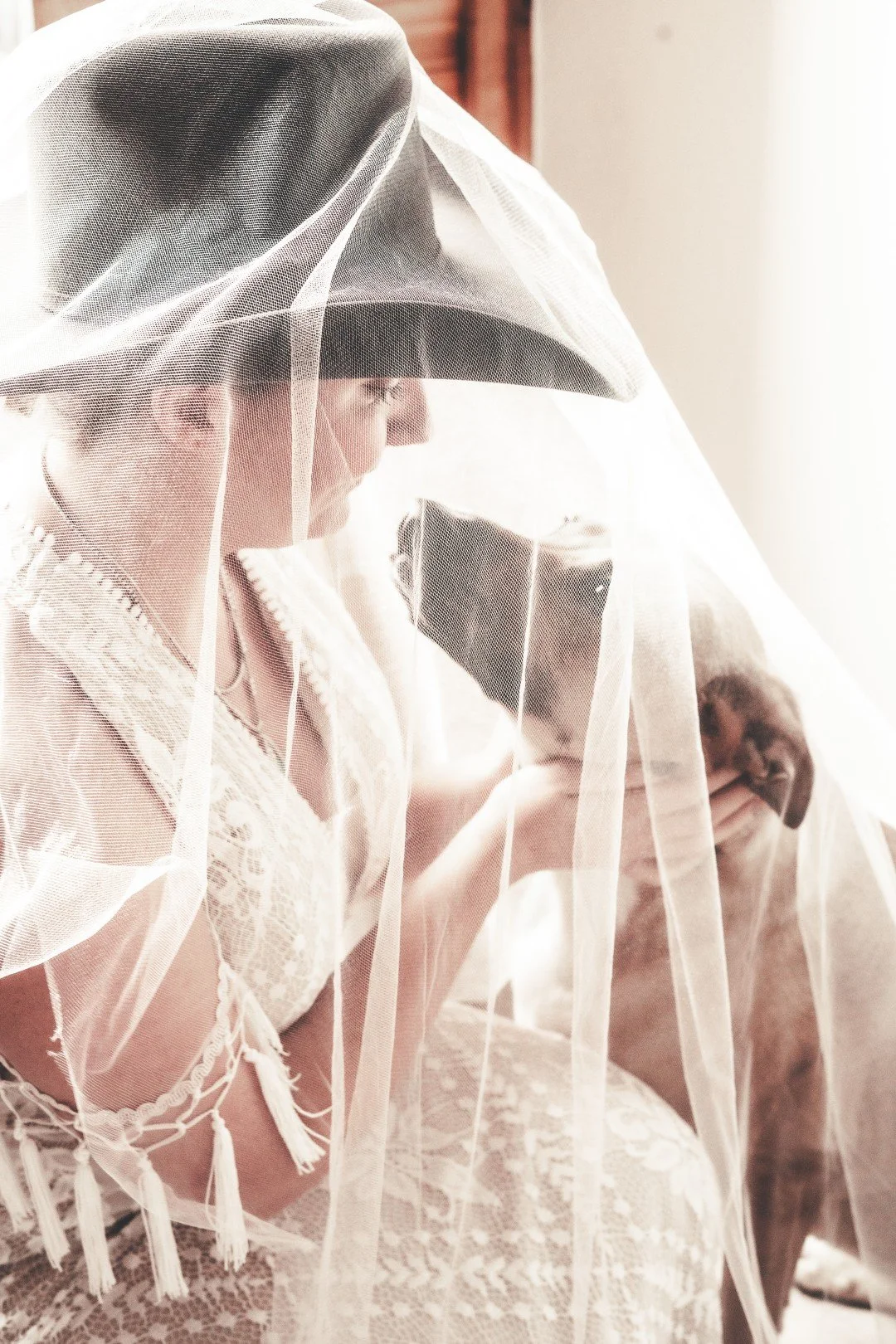 Veiled Bride and Dog