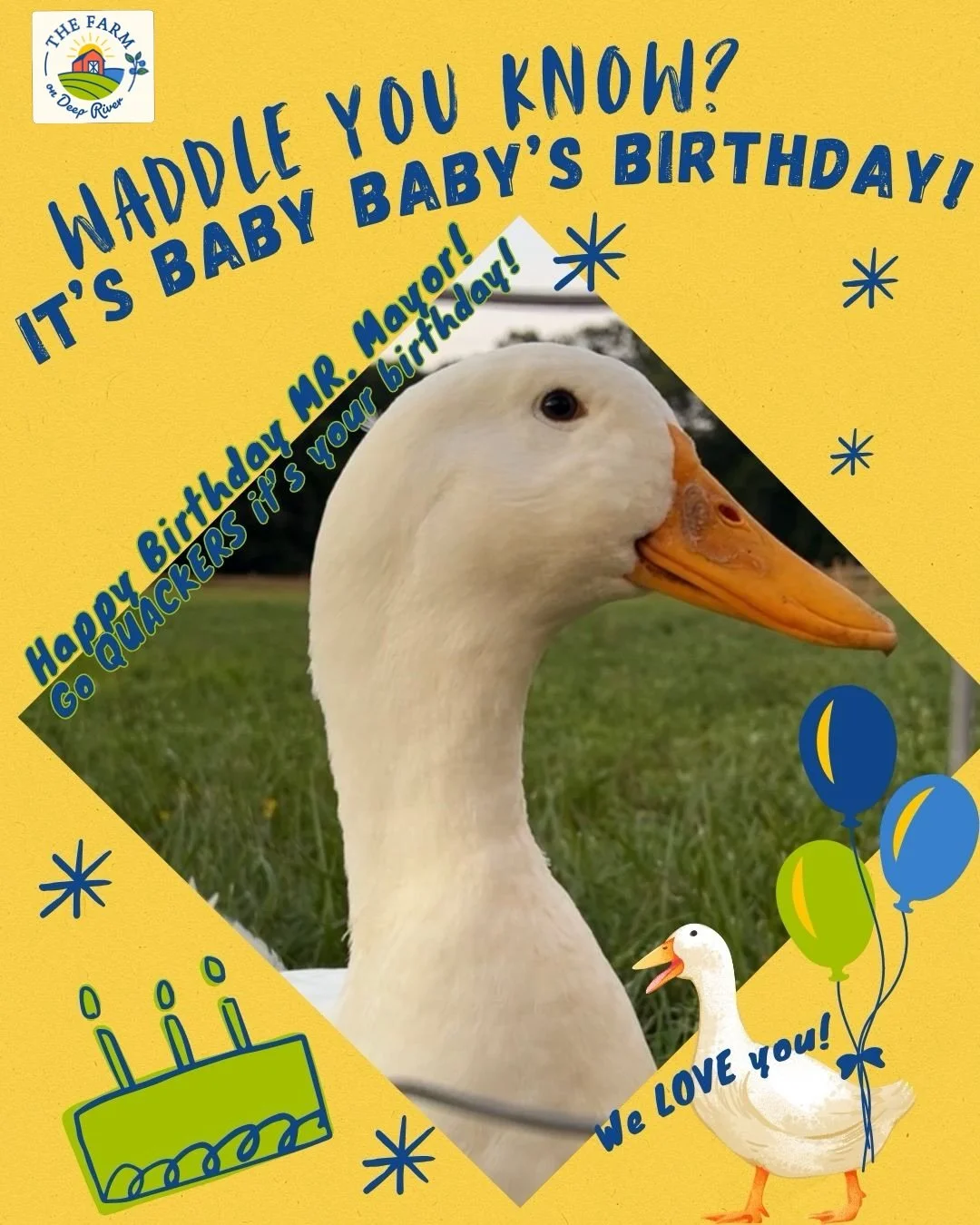 WADDLE YOU KNOW?  It&rsquo;s BABY BABY aka MR. MAYOR&rsquo;S BIRTHDAY! 
The &ldquo;Duck of the People&rdquo; is THREE years old TODAY! 
And have you HERD&hellip;
We&rsquo;re not KIDDING around, it&rsquo;s ALSO our OG goats, sister team, VIOLET &amp; 