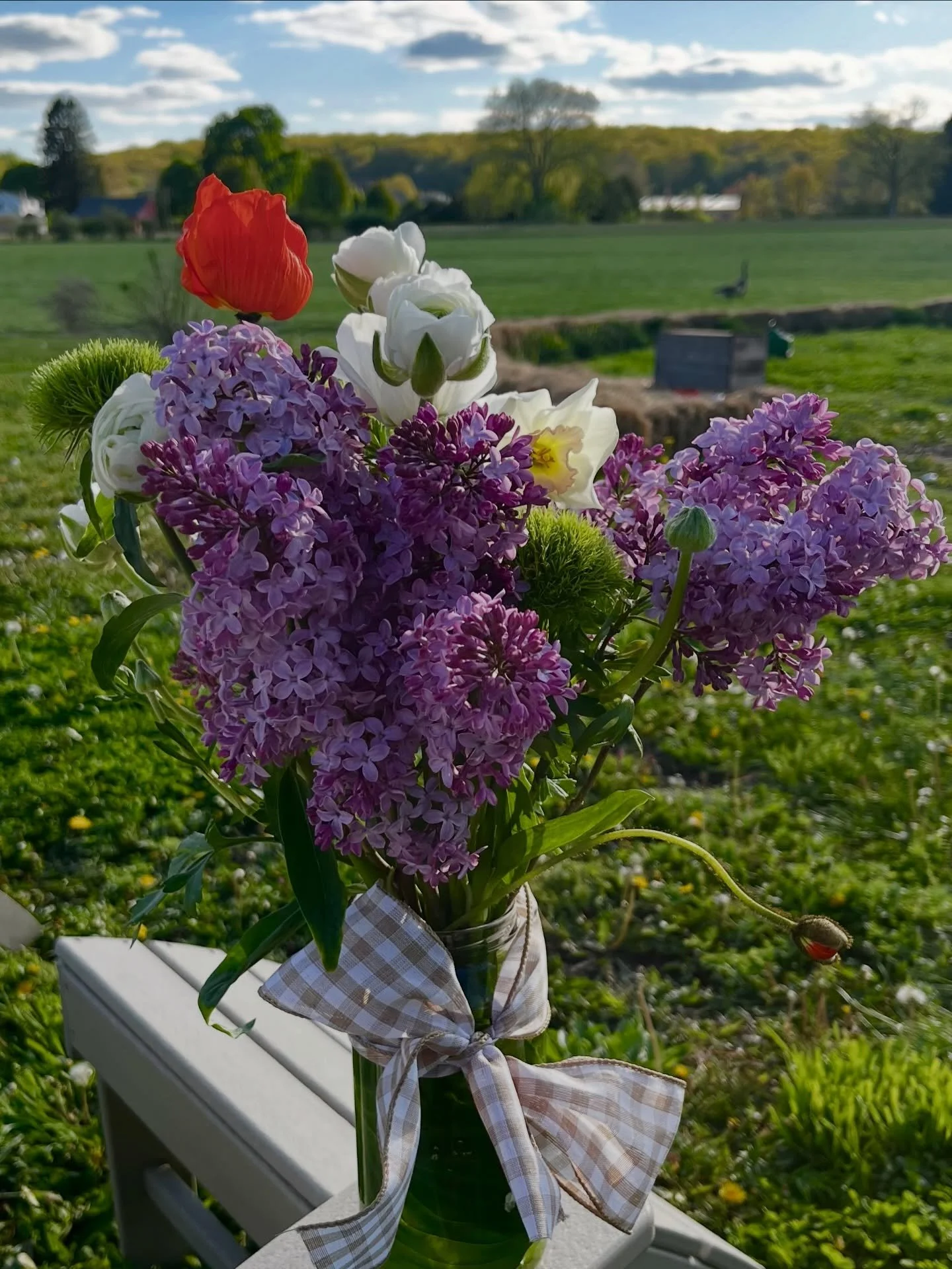 🌺 🪻 💐 🌷 🌼
MAY FLOWERS GALORE &amp; WE HAVE BEAUTIFUL, BRIGHT BUNCHES! 

Looking for the PERFECT gift? 
Our locally-grown, fresh-cut, beautiful bouquets come pre-arranged in a vase and finished with a pretty bow&mdash;ready to brighten up any roo