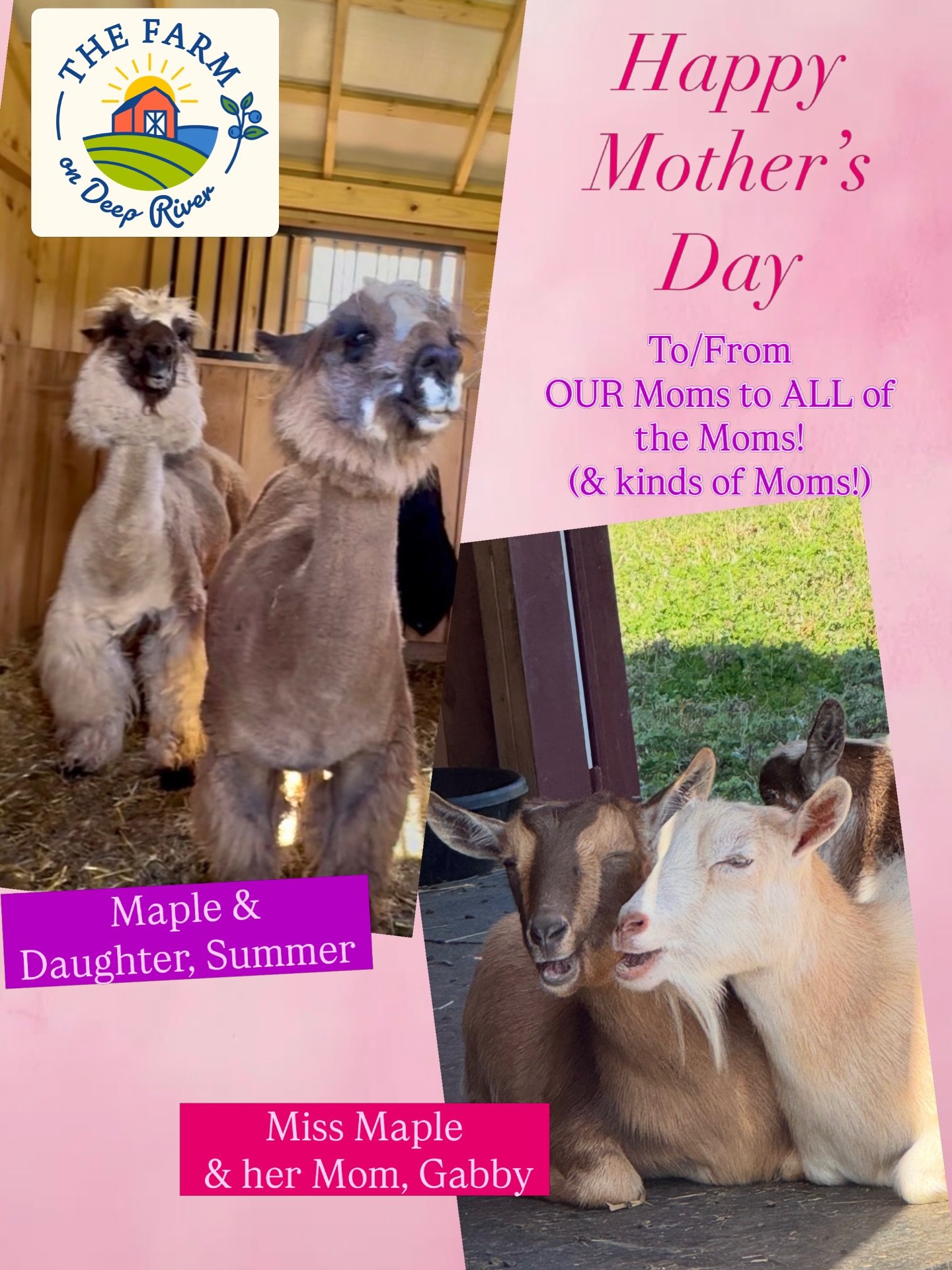 🌸HAPPY MOTHER&rsquo;S DAY to all of the Mothers out there! To all of the mothers, grandmothers, godmothers, dog mothers, fur-baby mothers, step-mothers, bonus mothers, maternal role models and positive influential women selflessly giving themselves 