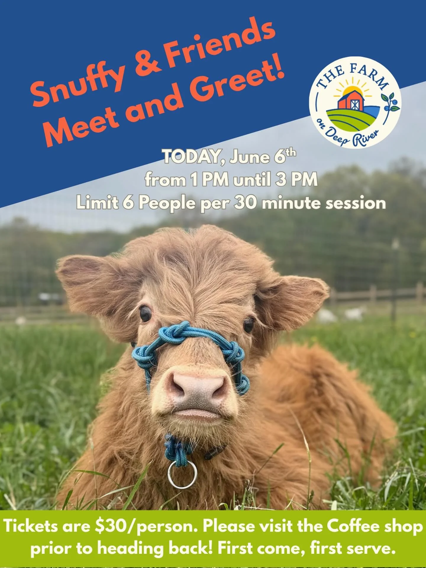 We are so excited to announce we will be doing meet and greets with our resident Mini Scottish Highland, MR. SNUFFALUPAGUS! 

Today (and more days in the future!) we will be doing 6 person groups to hang out with Snuffy! You get to meet him, &ldquo;F