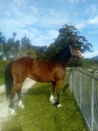 Mayzin – Cancer Support&nbsp;