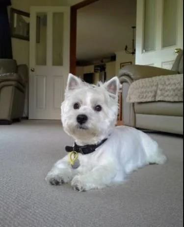 Lucy – Chronic Bladder Infections&nbsp;