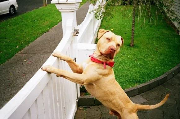 Bruce – Diabetes and Severe Skin Disease&nbsp;