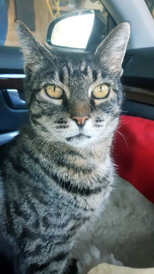 Mr Glenny – Kidney Disease and Constipation&nbsp;