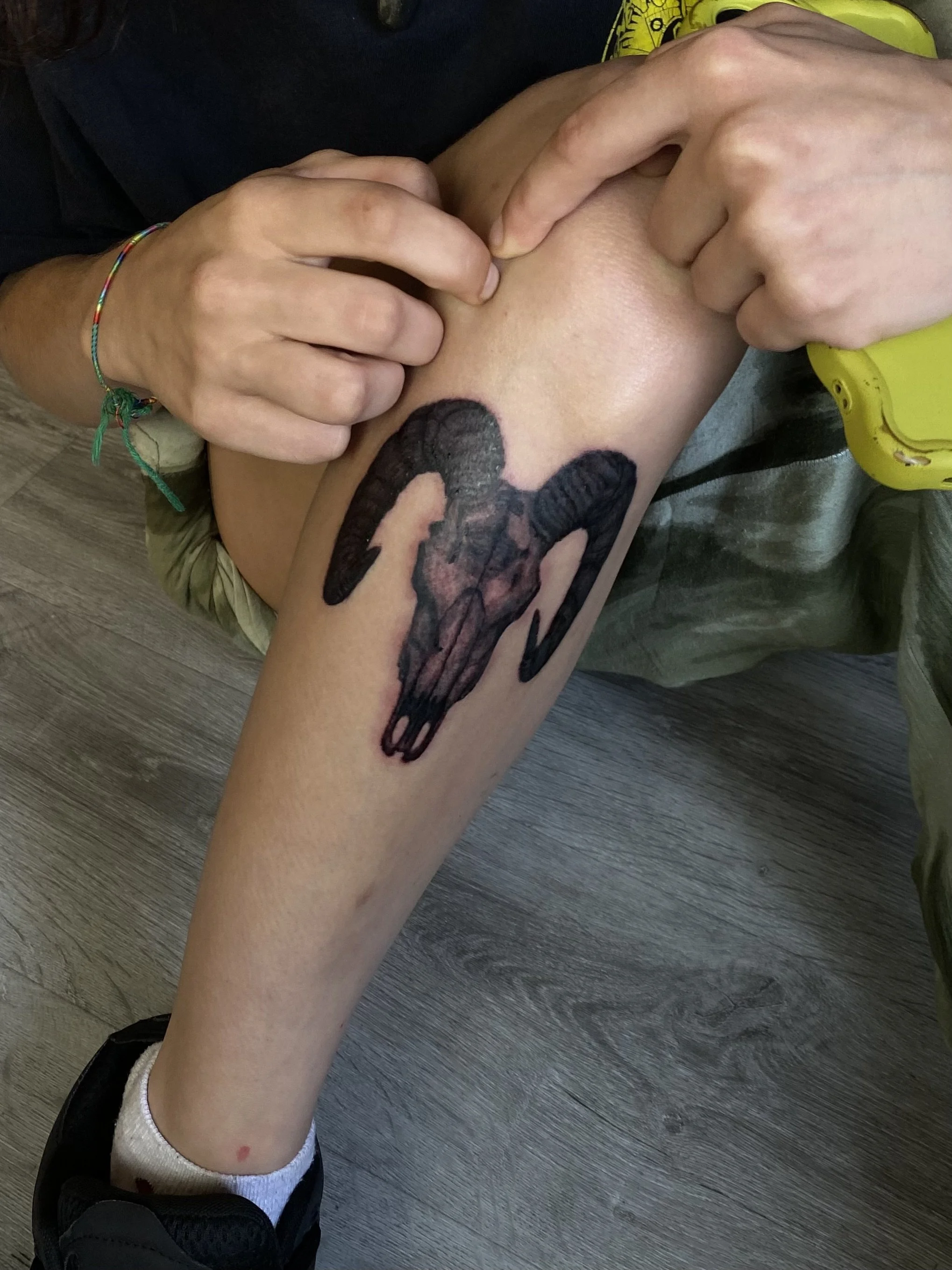 Realistic ram skull | 1 Session 4 Hours