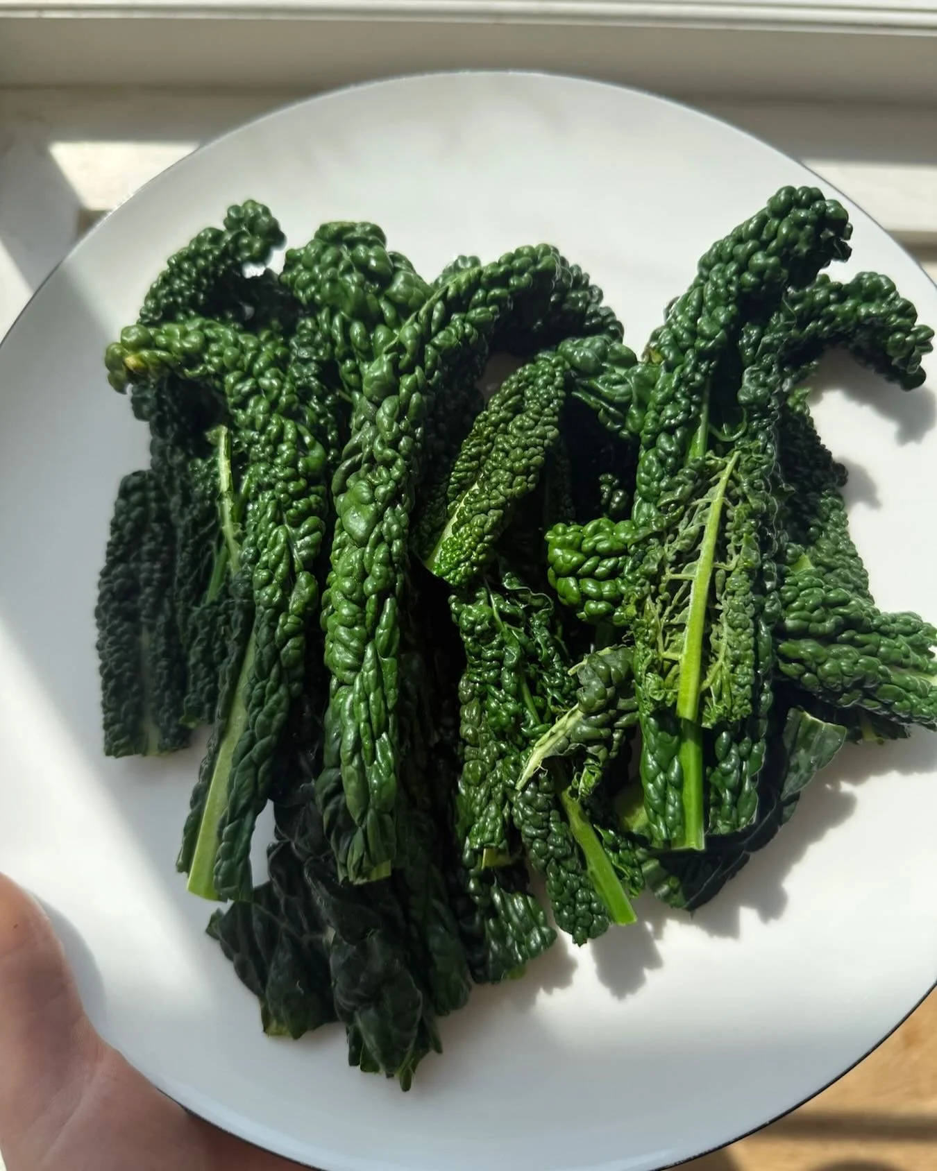 Kale.
Yup - kale.
The one people love to joke about, roll their eyes at, or think &ldquo;too healthy.&rdquo;

But here&rsquo;s the thing, I didn&rsquo;t grow up eating kale.
I didn&rsquo;t grow up on green smoothies, sprouted seeds or anything remote