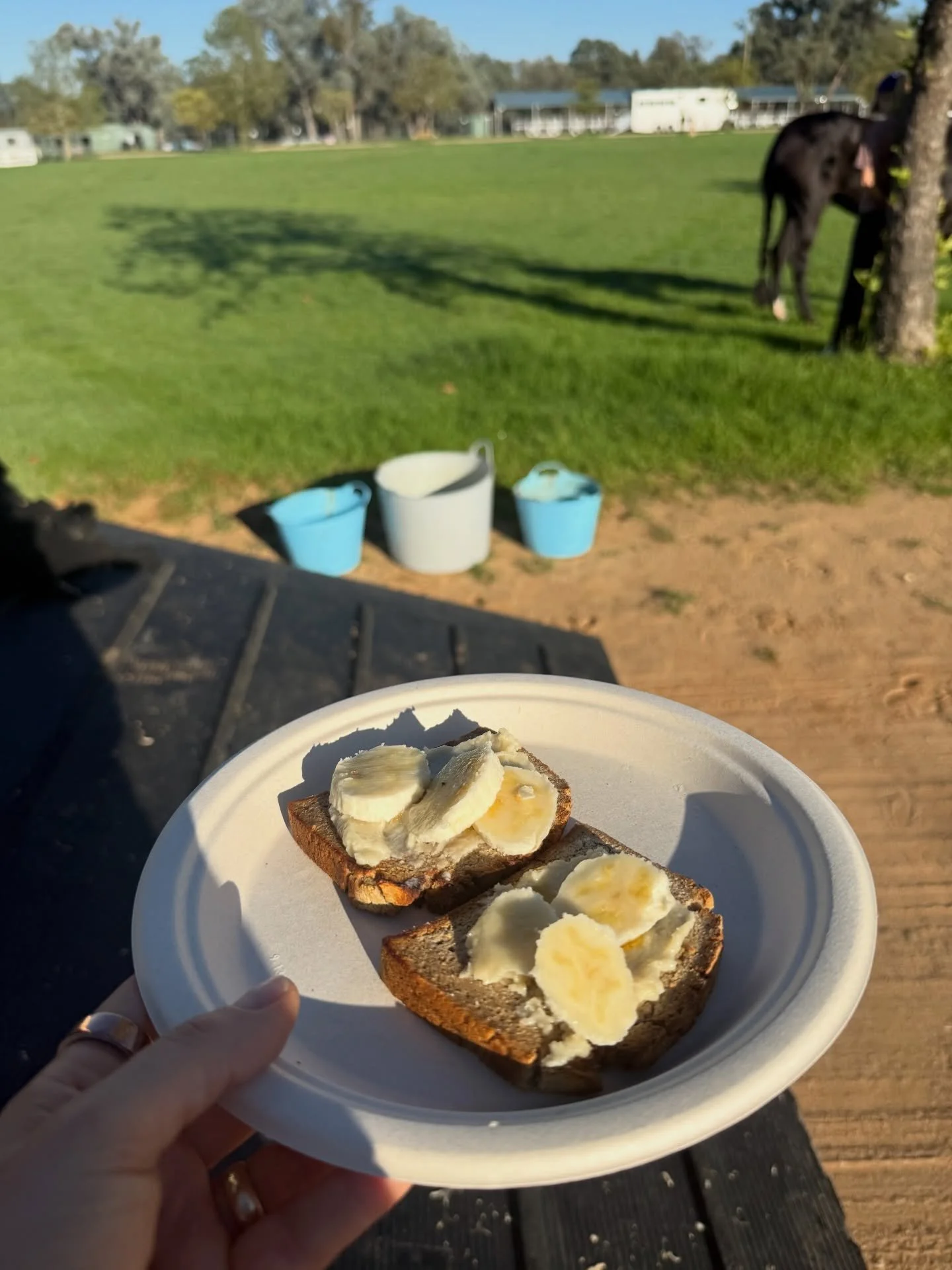 Road trip breakfast. My go to. Buckwheat bread. Macadamia nut butter. Banana. Maple syrup.
