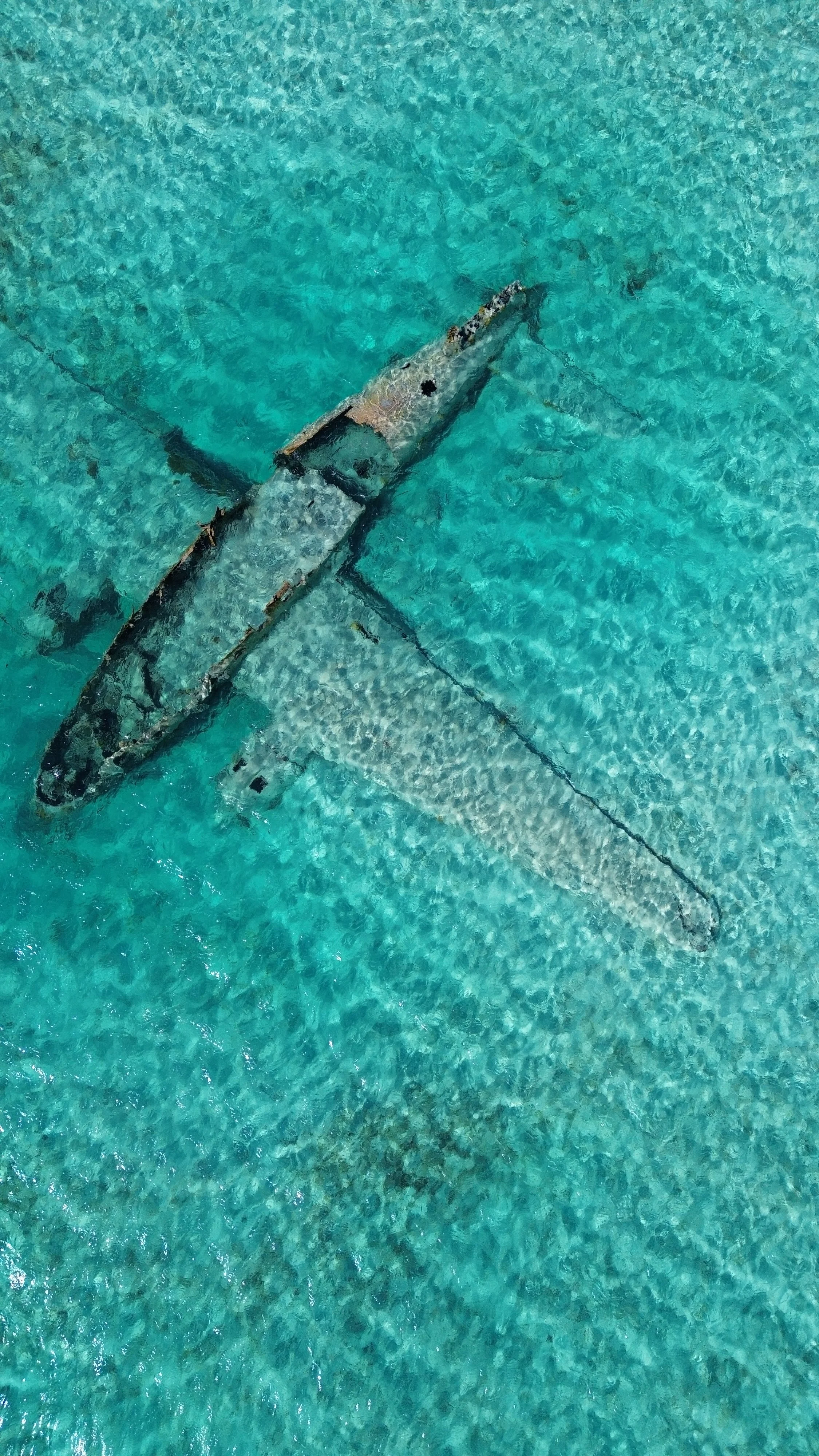 IMG_7852.JPG