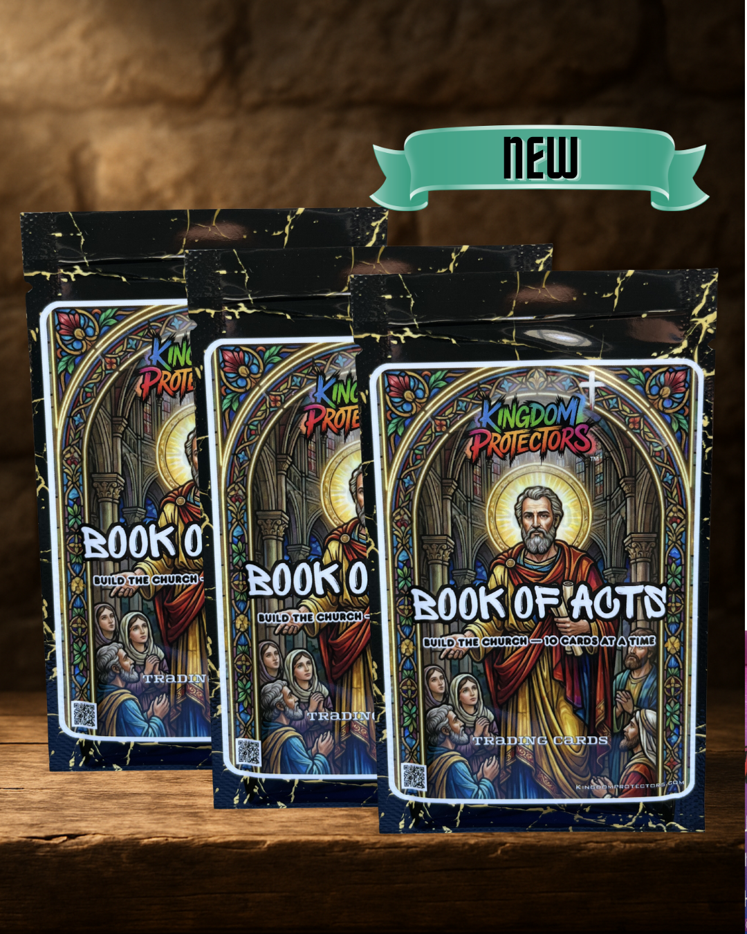 Kingdom Protectors - Book of Acts Series (3-Pack)