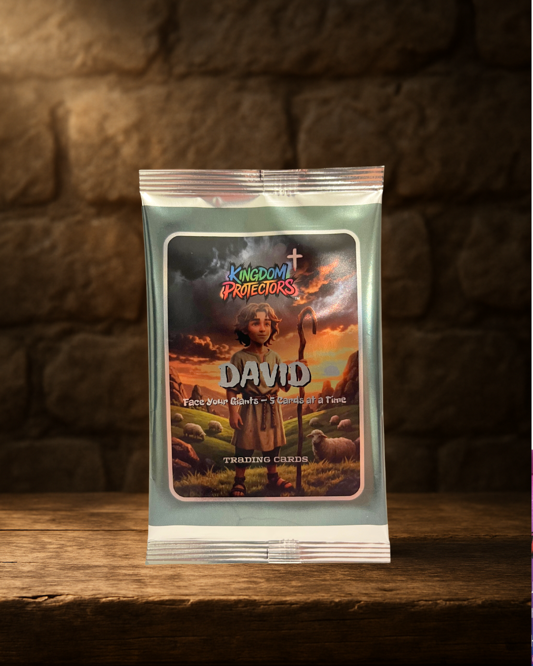 Kingdom Protectors - David Series