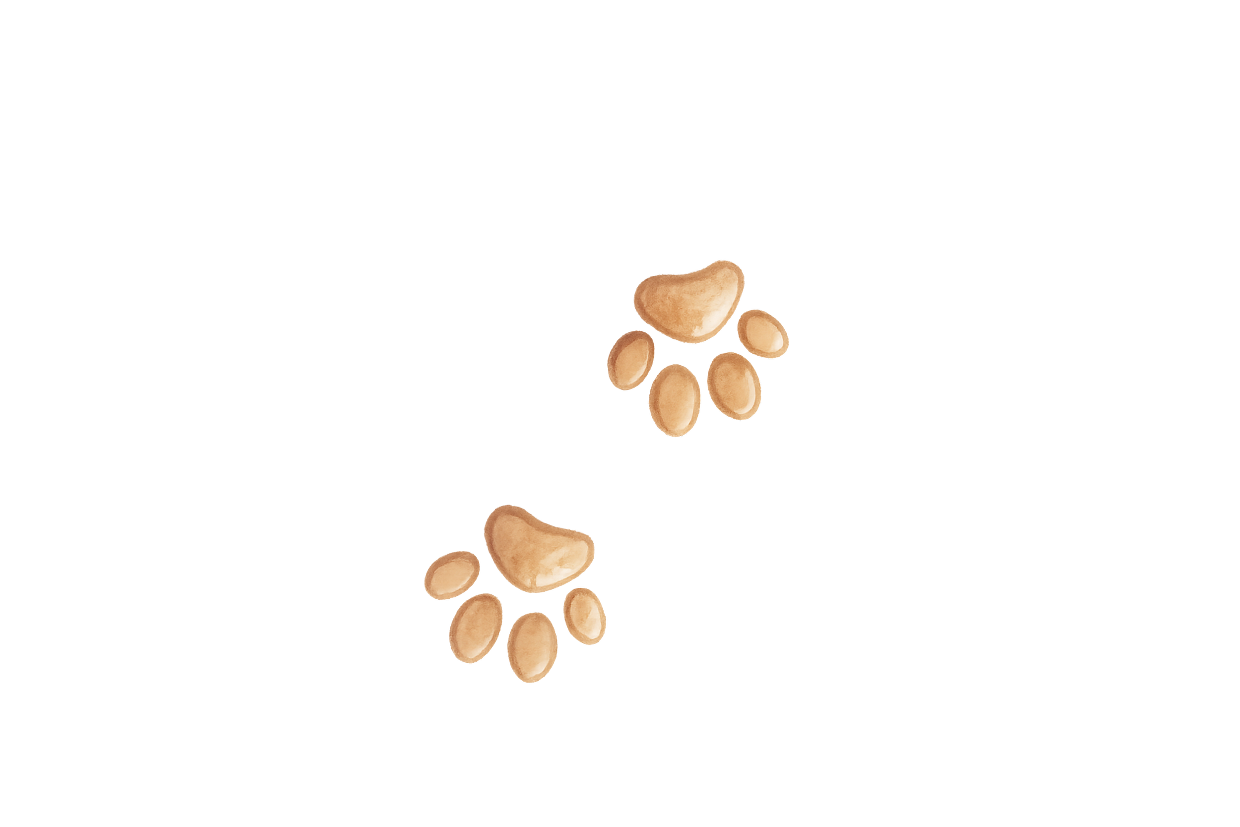 Minimalist brown paw print illustration icon in a soft, playful style.