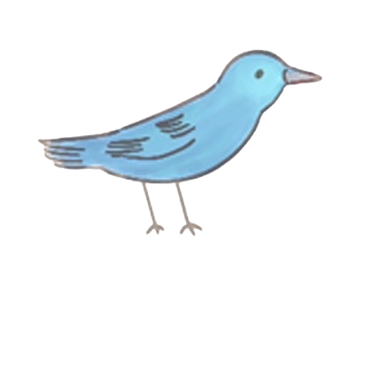 illustration of blue bird