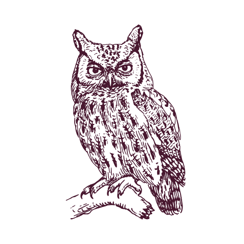 Drawing of a purple owl sitting on a branch with intense staring eyes on a black background.