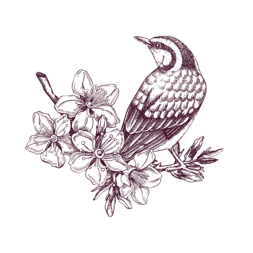 A line drawing of a bird perched on a branch with flowers, in purple on a black background.
