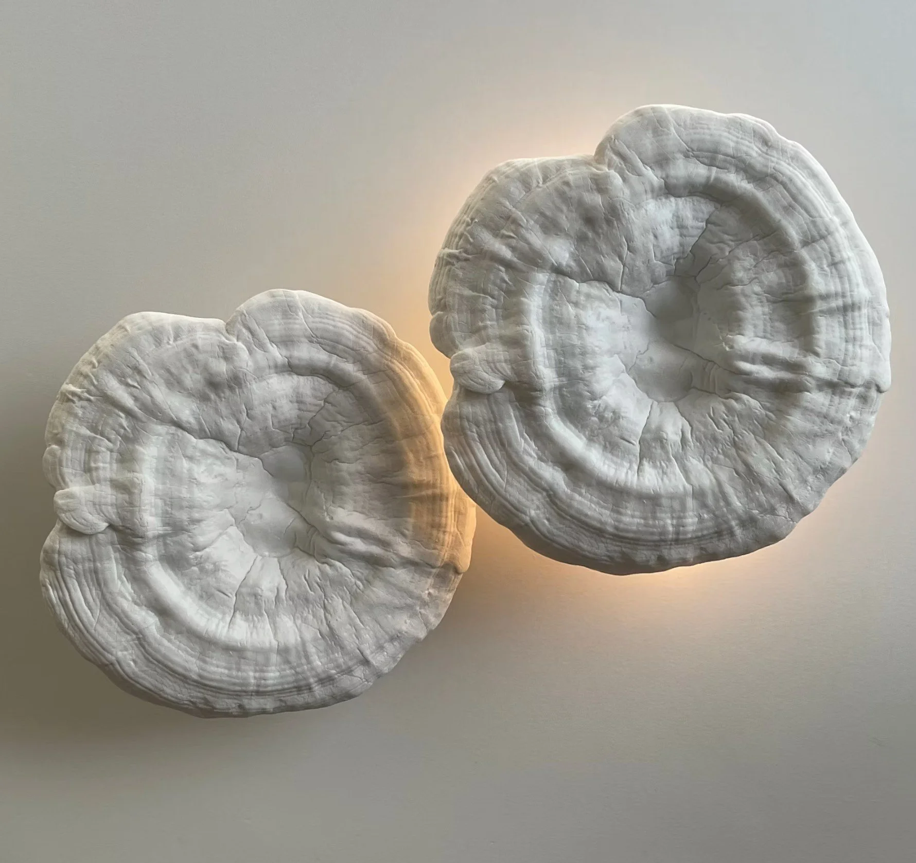 Close-up of a white, textured, circular object with a cracked surface, possibly a piece of bread or a mineral formation.