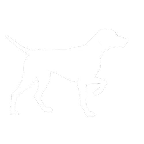 DOGGER