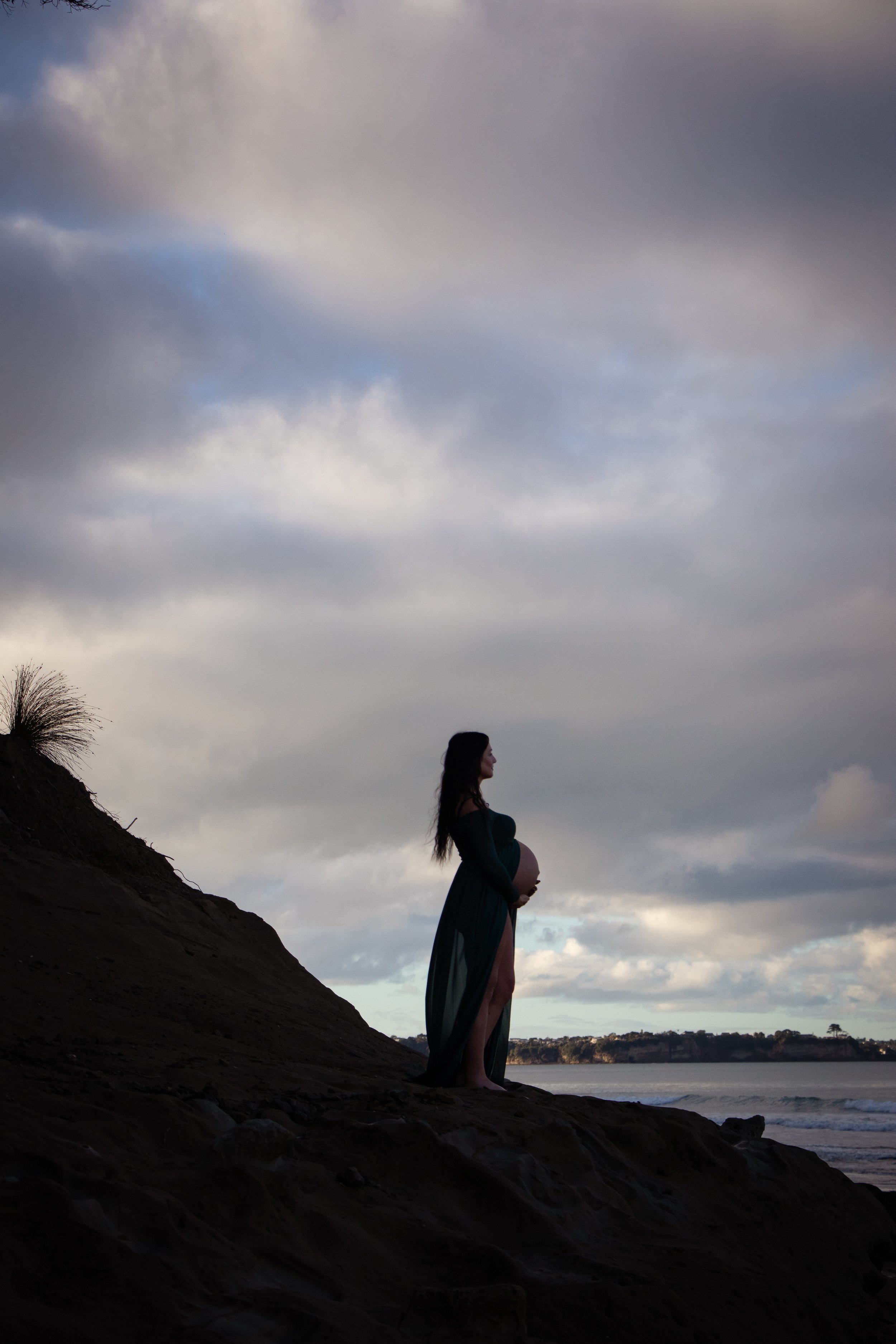 Pregnancy Story
