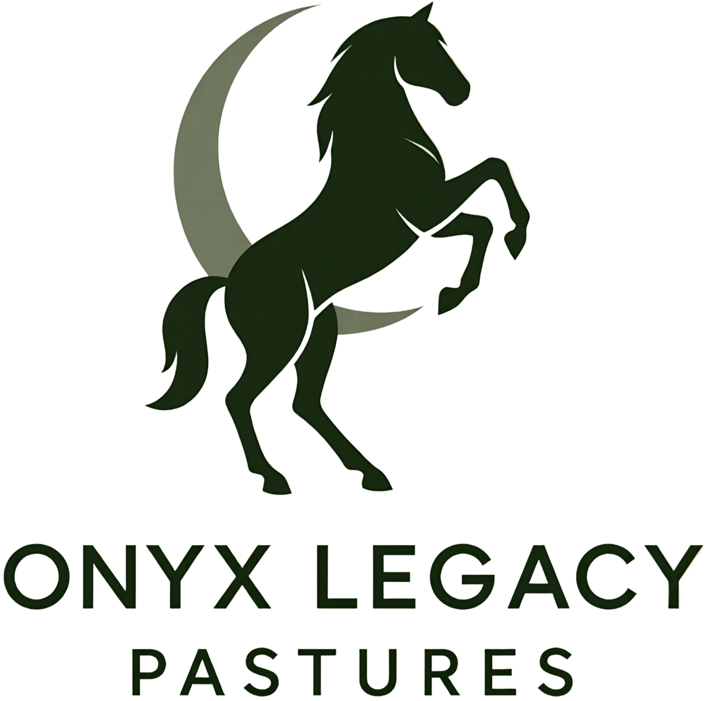Onyx Legacy Pastures