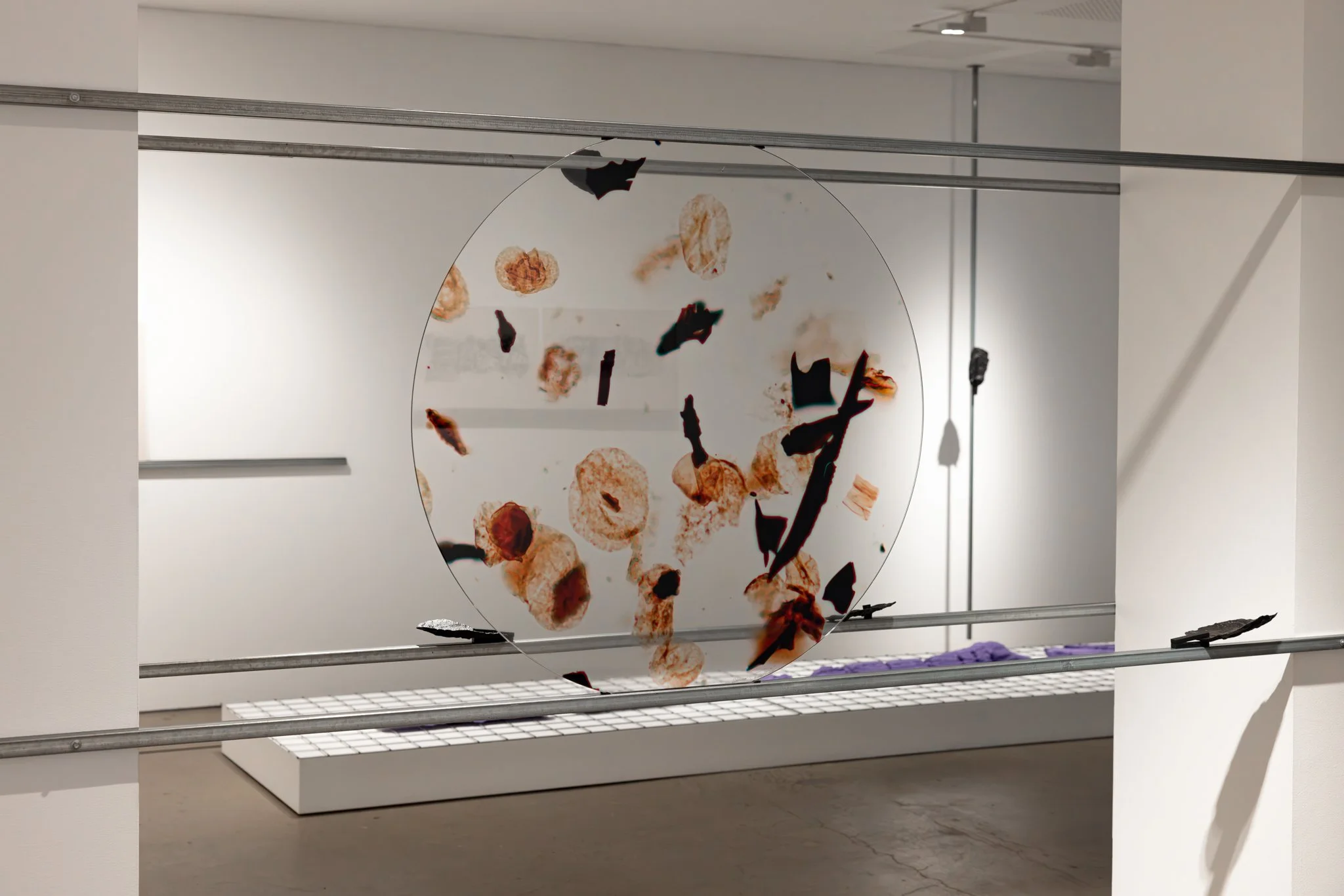 UNSWGalleries_BiancaHester_LithicBodies_2024_credit_JacquieManning-40.jpg