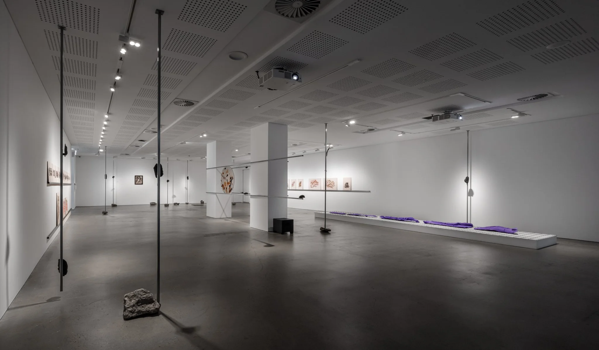 UNSWGalleries_BiancaHester_LithicBodies_2024_credit_JacquieManning-24.jpg