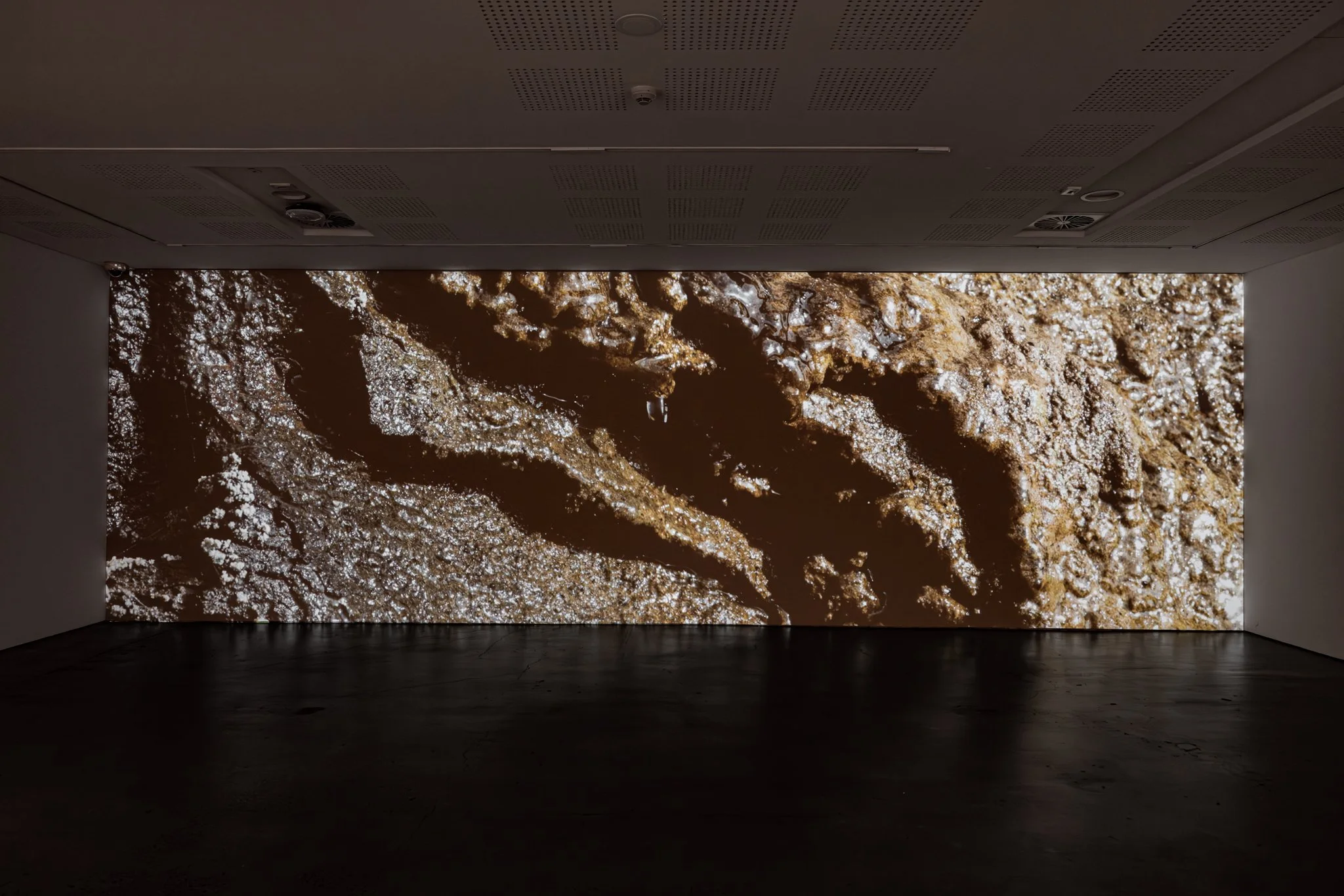 UNSWGalleries_BiancaHester_LithicBodies_2024_credit_JacquieManning-38.jpg