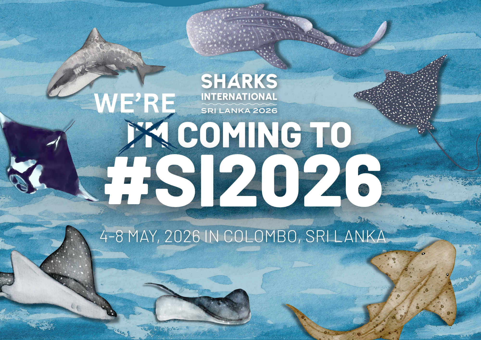 From Florida Estuaries to Sri Lanka: The Salty Lab Heads to Sharks International 2026
