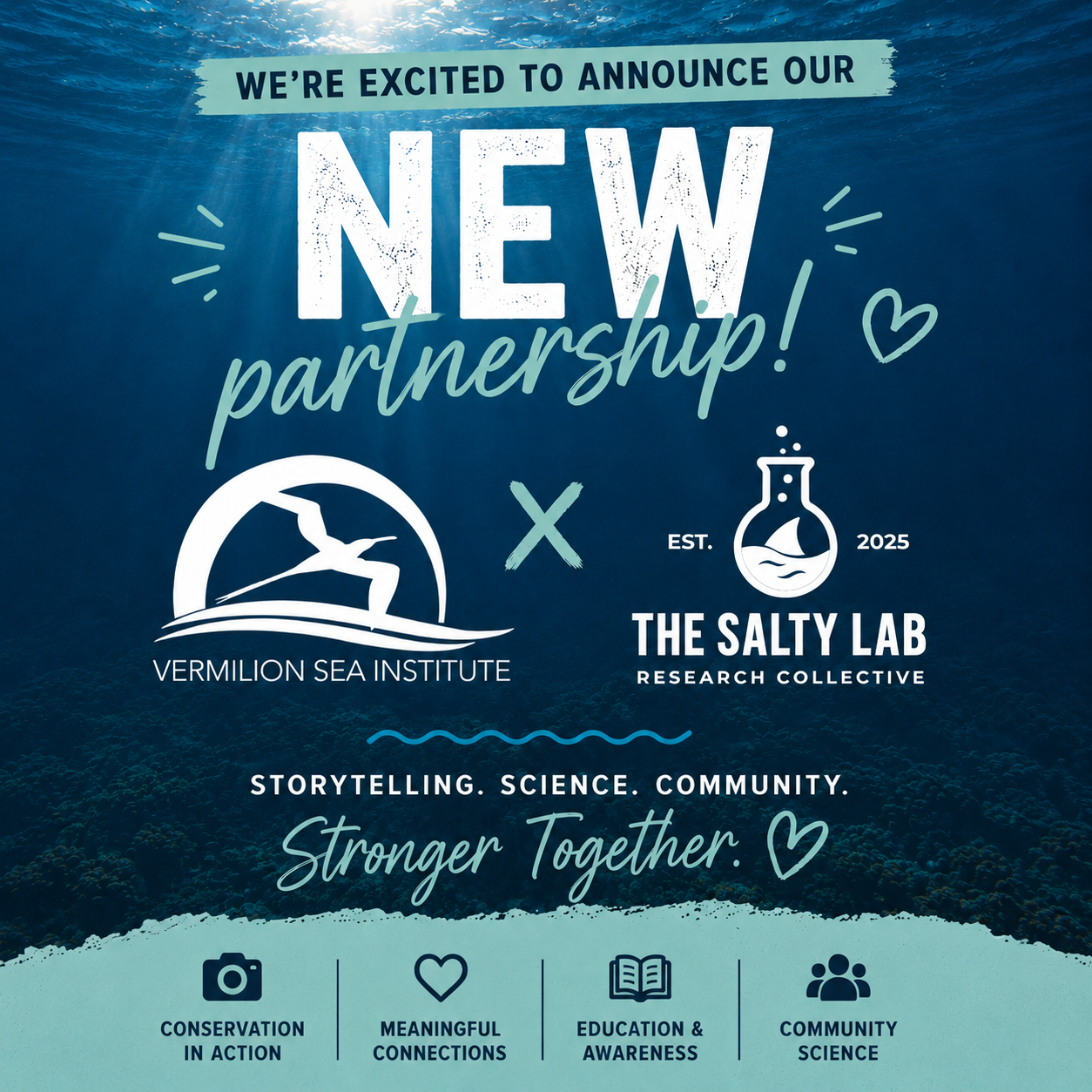 The Salty Lab x Vermilion Sea Institute Partnership Announcement