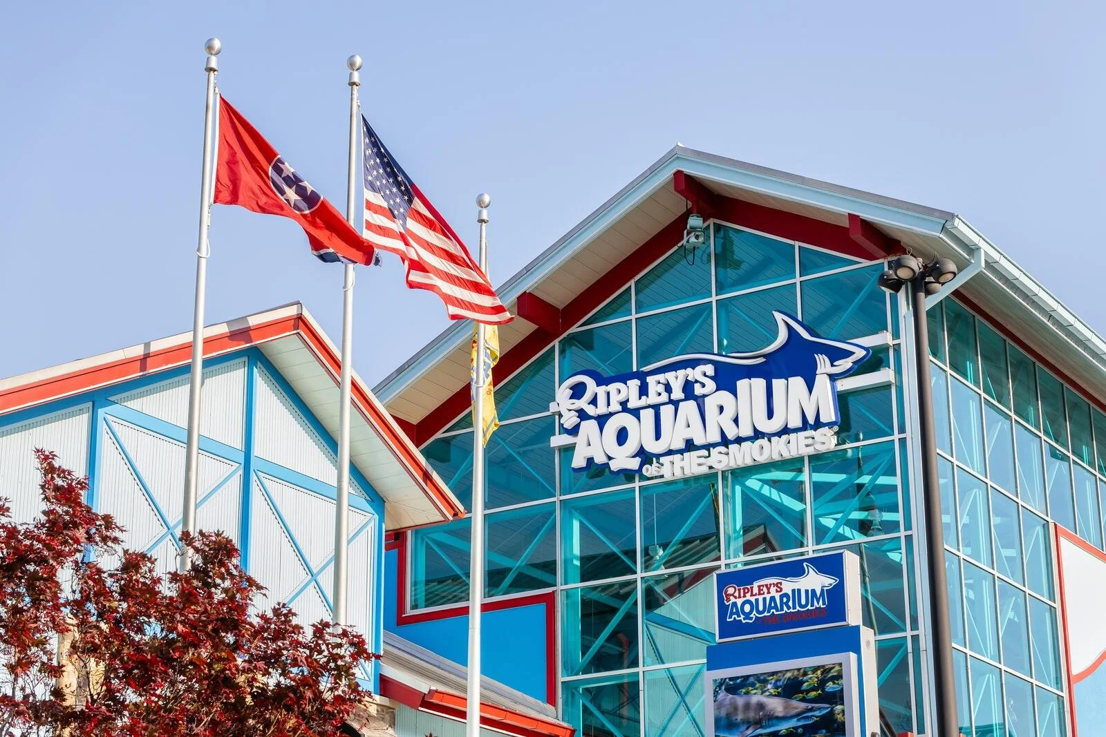 Top 10 Kid-Friendly Things To Do in the Smokies Beyond Dollywood