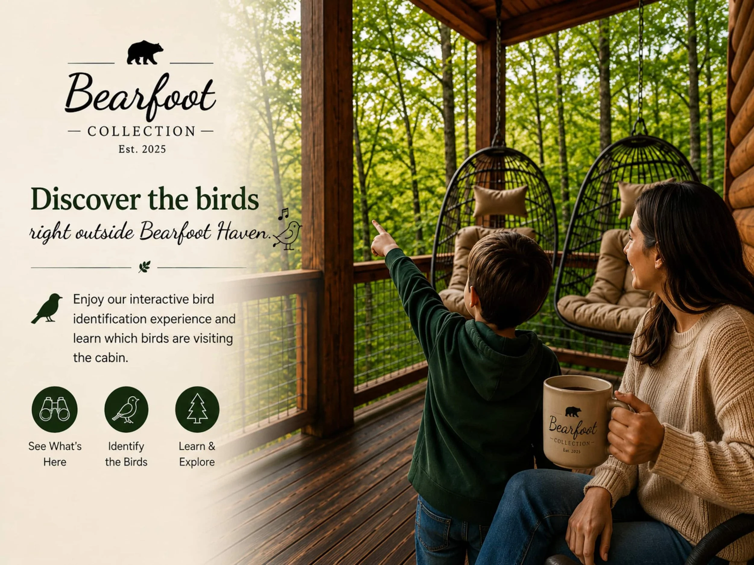 Discover the Birds