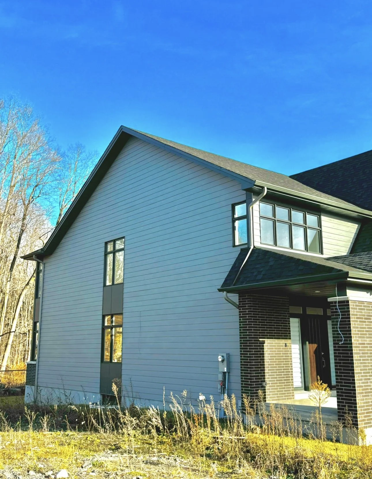 Modern two-story house with light gray siding, black window frames, a brick-covered entrance, and a gabled roof, surrounded by leafless trees and under a bright blue sky.