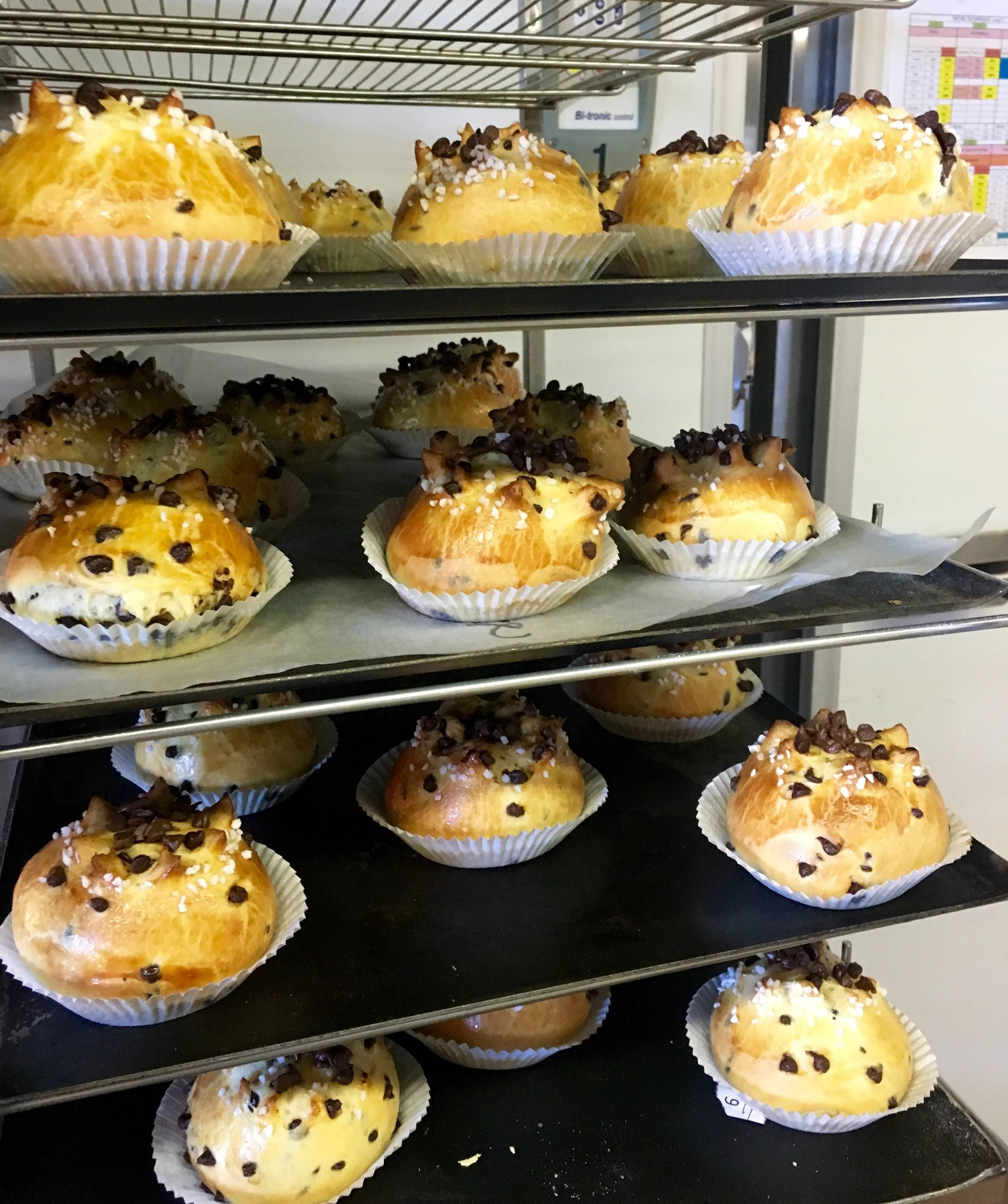Baked chocolate chip and sugar-topped muffins cooling on a metal rack.
