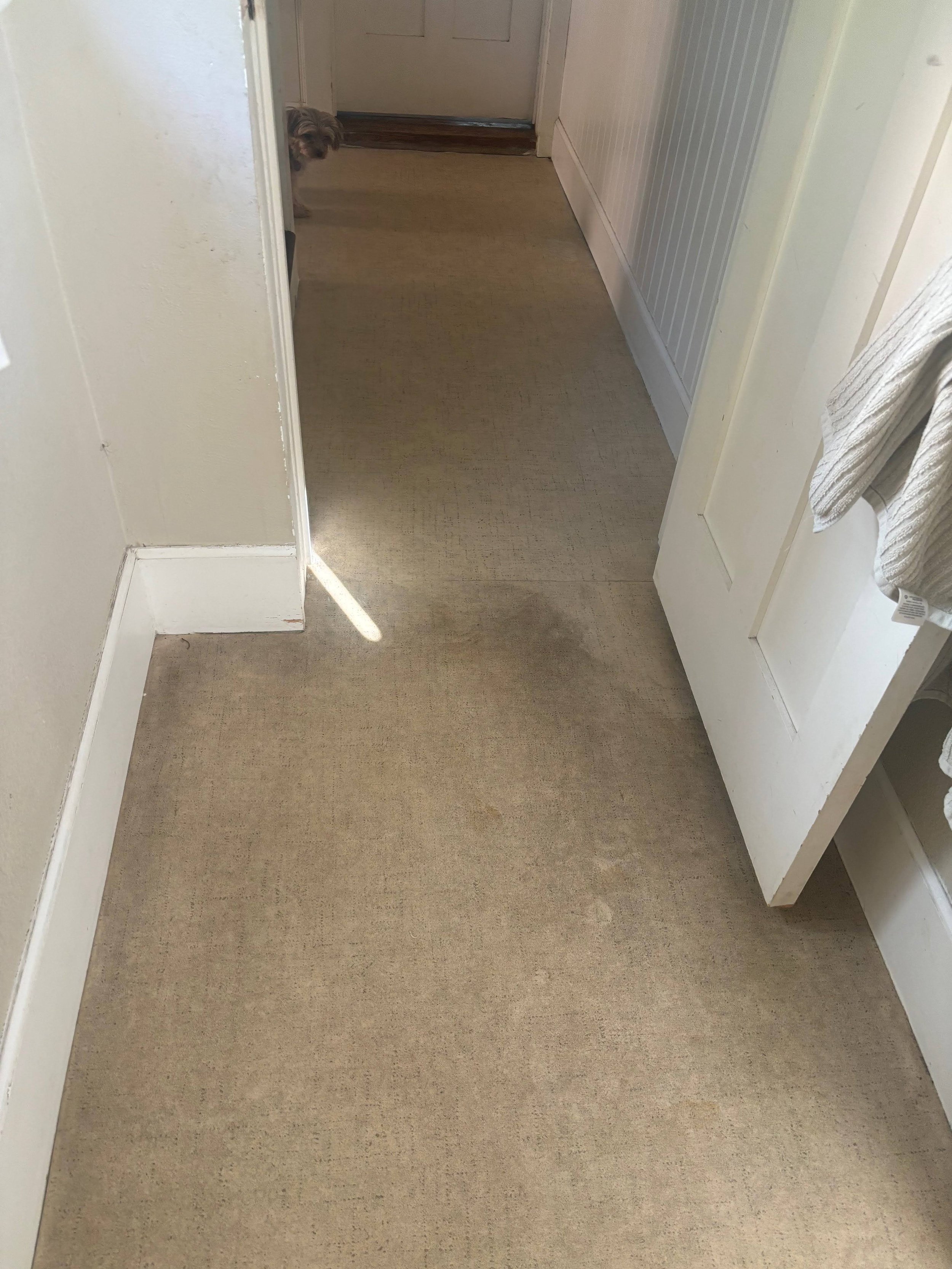 floors, bathroom 2.png