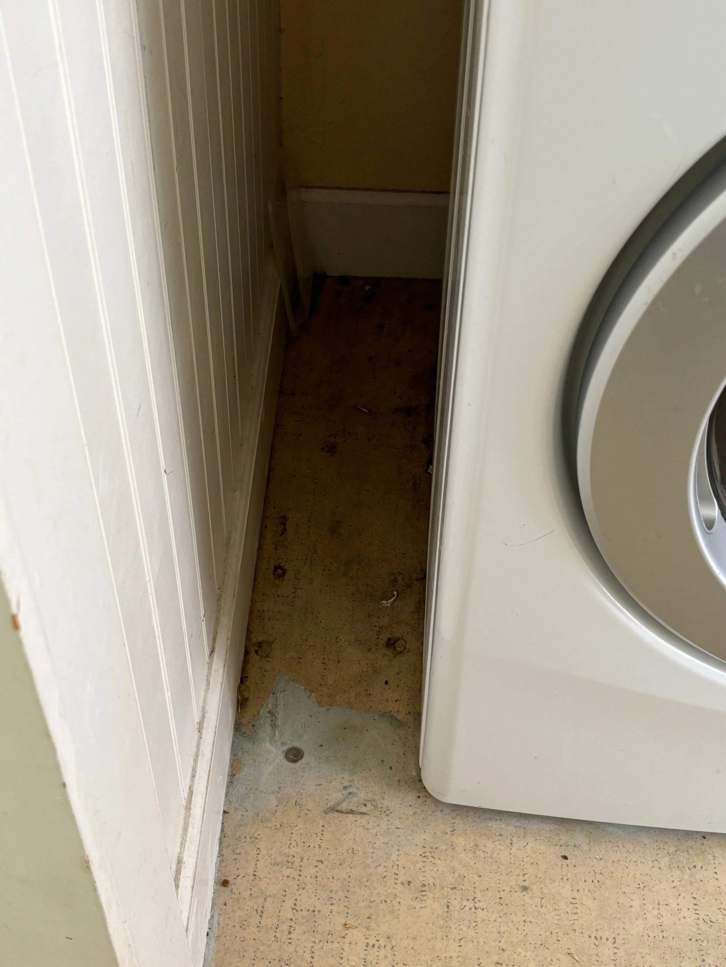 Laundry, recycle trash 2.png